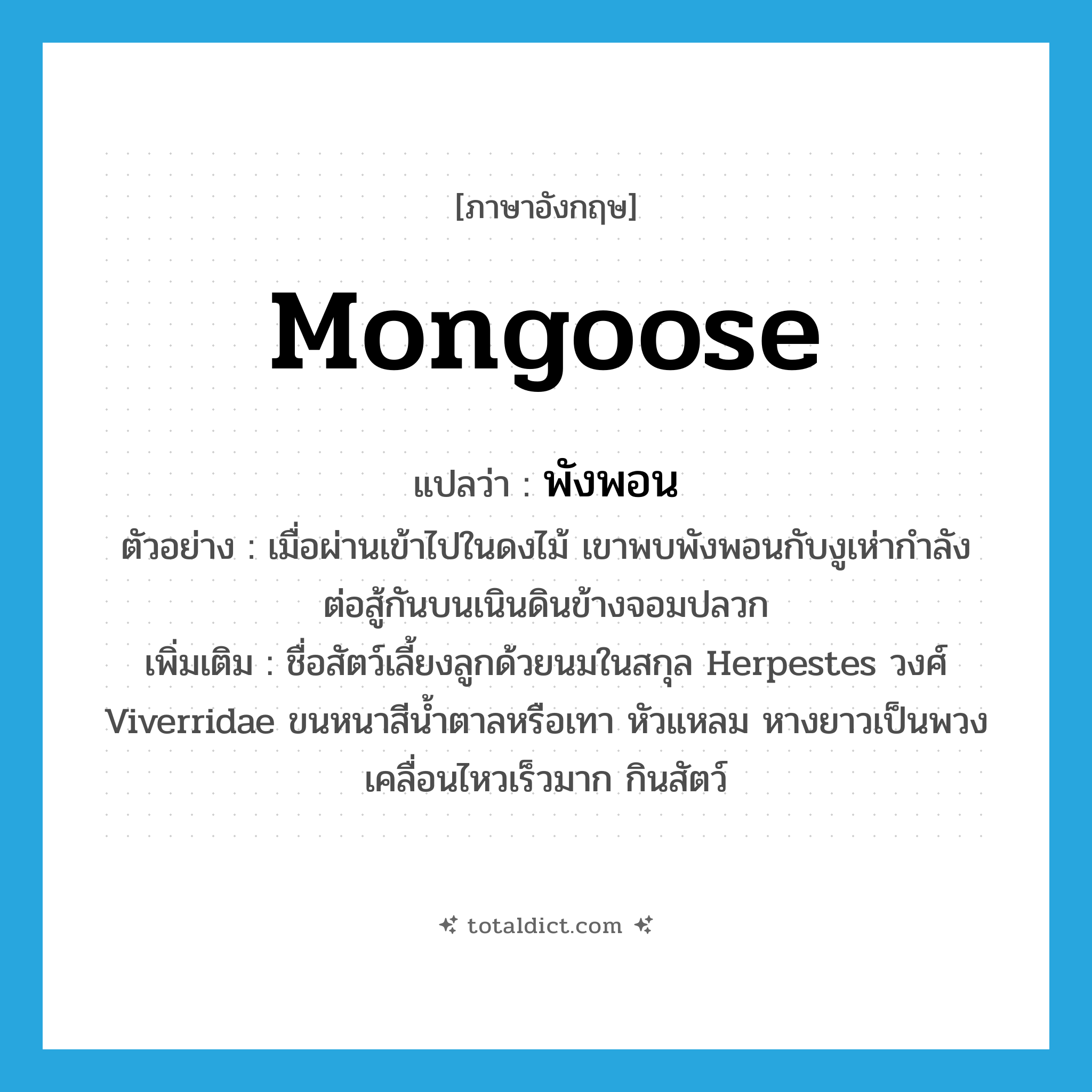 mongoose แปลว่า?, คำศัพท์ภาษาอังกฤษ mongoose แปลว่า พังพอน ประเภท N ตัวอย่าง เมื่อผ่านเข้าไปในดงไม้ เขาพบพังพอนกับงูเห่ากำลังต่อสู้กันบนเนินดินข้างจอมปลวก เพิ่มเติม ชื่อสัตว์เลี้ยงลูกด้วยนมในสกุล Herpestes วงศ์ Viverridae ขนหนาสีน้ำตาลหรือเทา หัวแหลม หางยาวเป็นพวง เคลื่อนไหวเร็วมาก กินสัตว์ หมวด N
