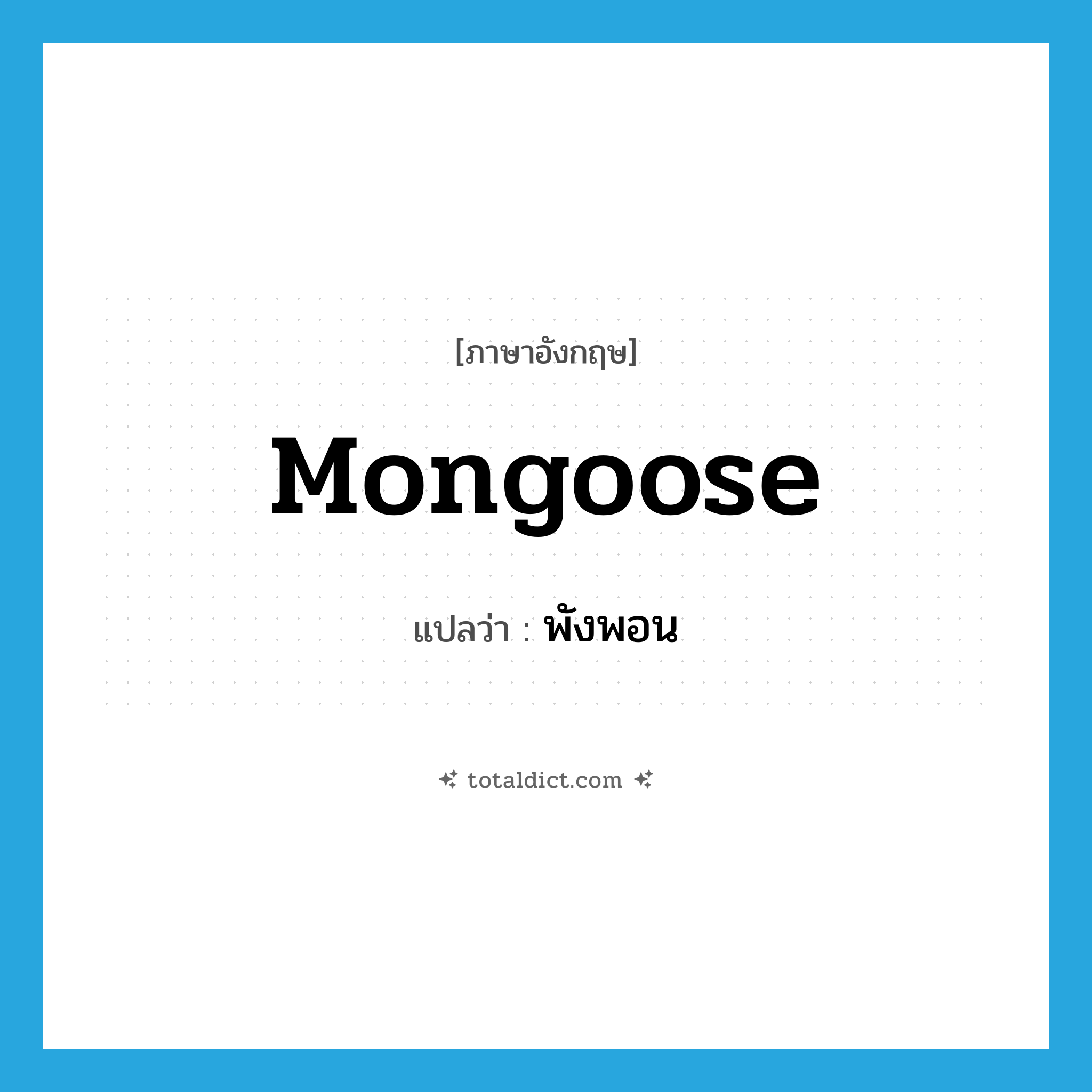 mongoose แปลว่า?, คำศัพท์ภาษาอังกฤษ mongoose แปลว่า พังพอน ประเภท N หมวด N