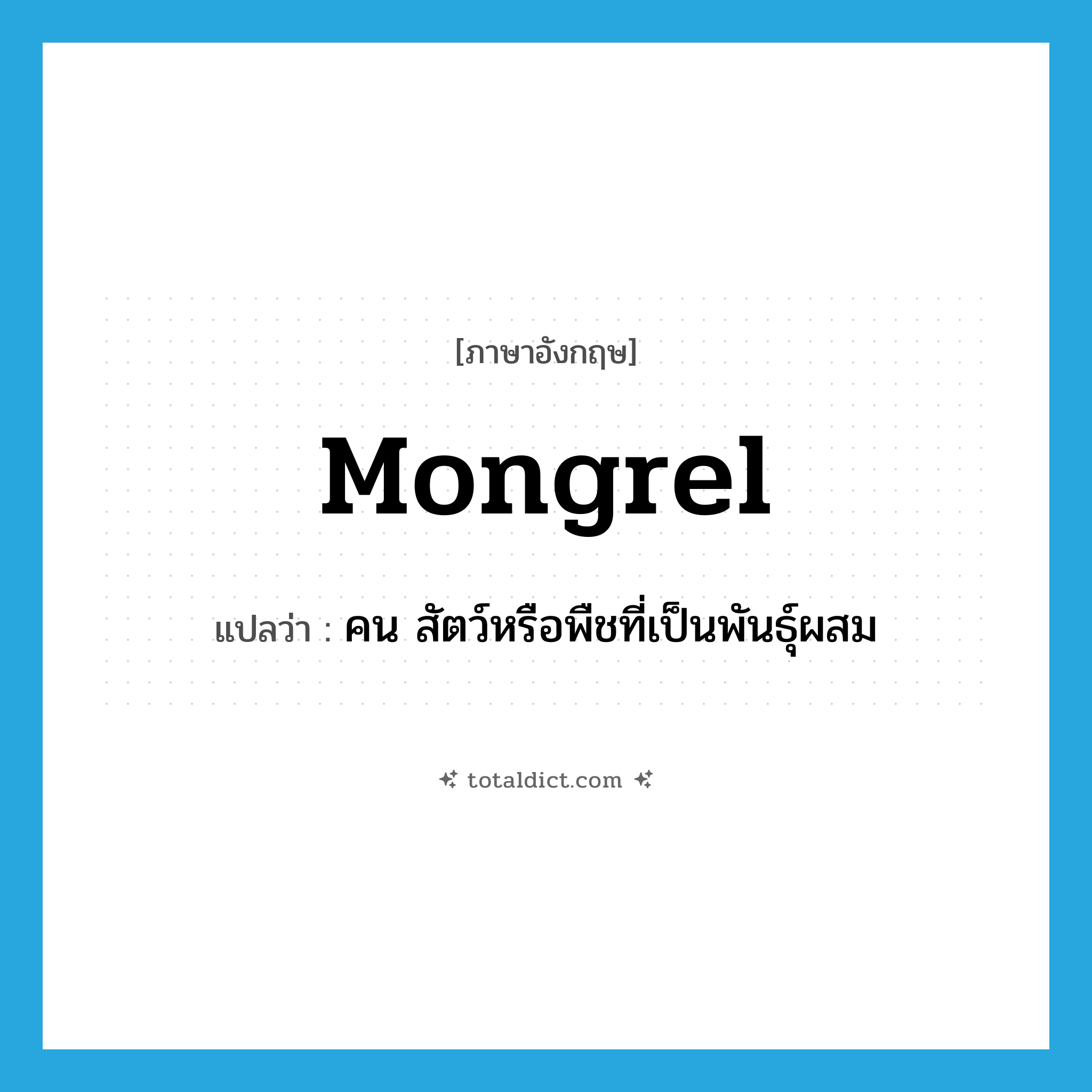 mongrel แปลว่า?, คำศัพท์ภาษาอังกฤษ mongrel แปลว่า คน สัตว์หรือพืชที่เป็นพันธุ์ผสม ประเภท N หมวด N