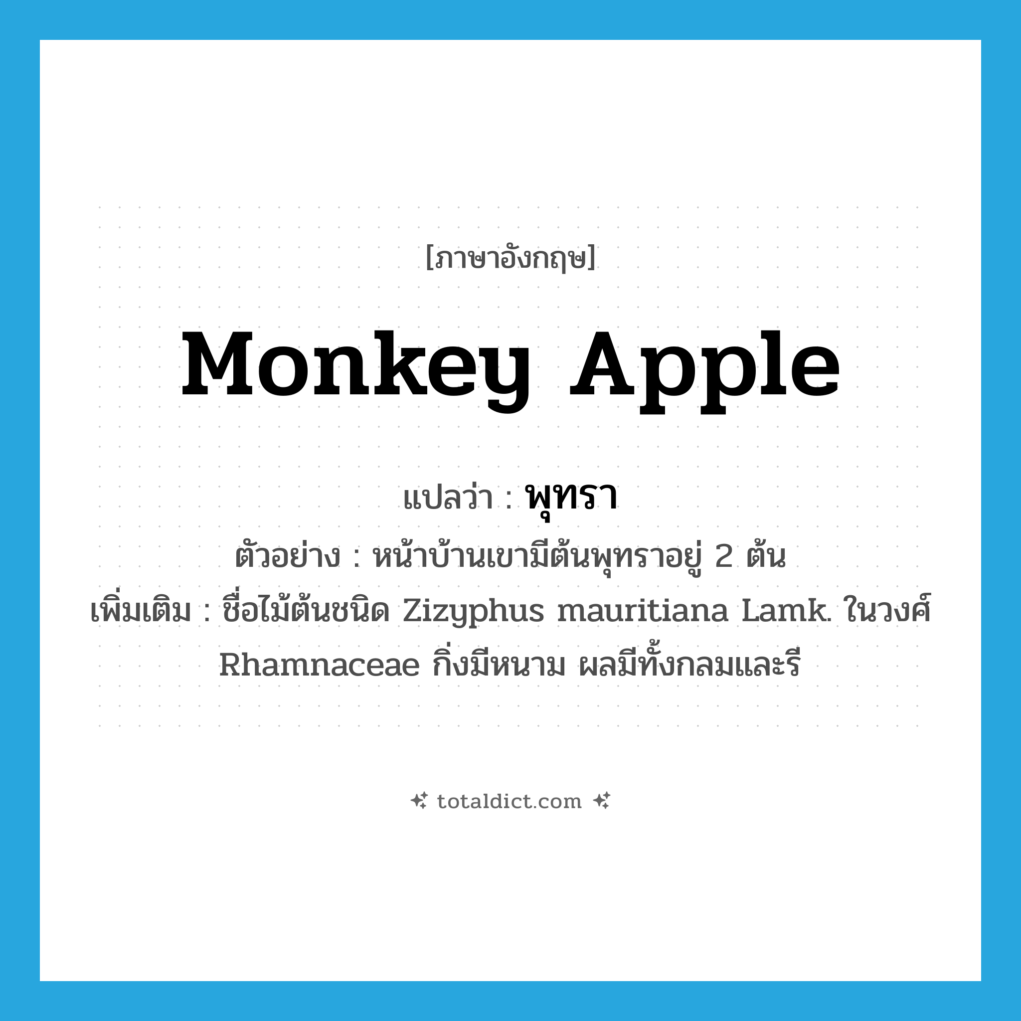 monkey apple แปลว่า?, คำศัพท์ภาษาอังกฤษ monkey apple แปลว่า พุทรา ประเภท N ตัวอย่าง หน้าบ้านเขามีต้นพุทราอยู่ 2 ต้น เพิ่มเติม ชื่อไม้ต้นชนิด Zizyphus mauritiana Lamk. ในวงศ์ Rhamnaceae กิ่งมีหนาม ผลมีทั้งกลมและรี หมวด N