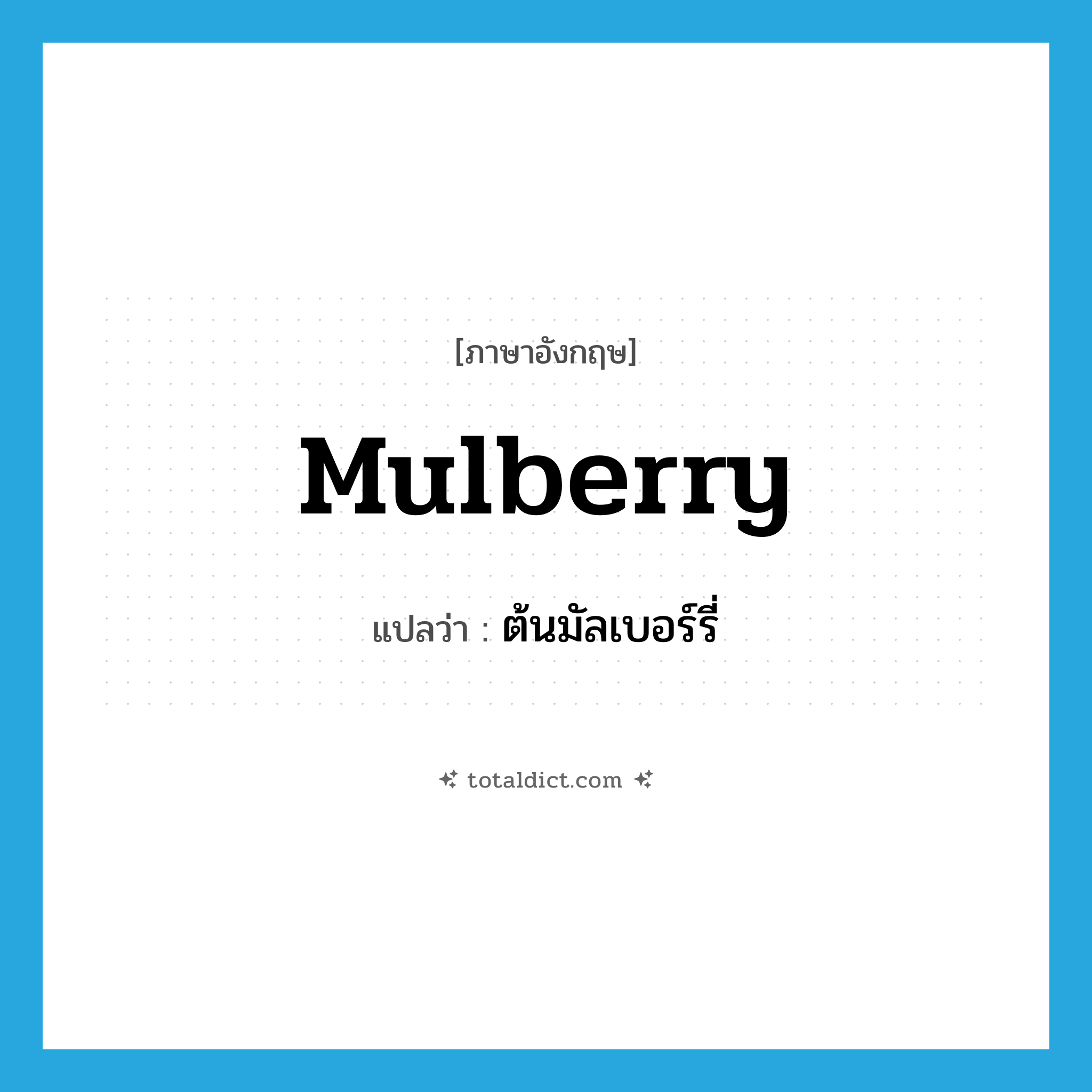 mulberry แปลว่า?, คำศัพท์ภาษาอังกฤษ mulberry แปลว่า ต้นมัลเบอร์รี่ ประเภท N หมวด N
