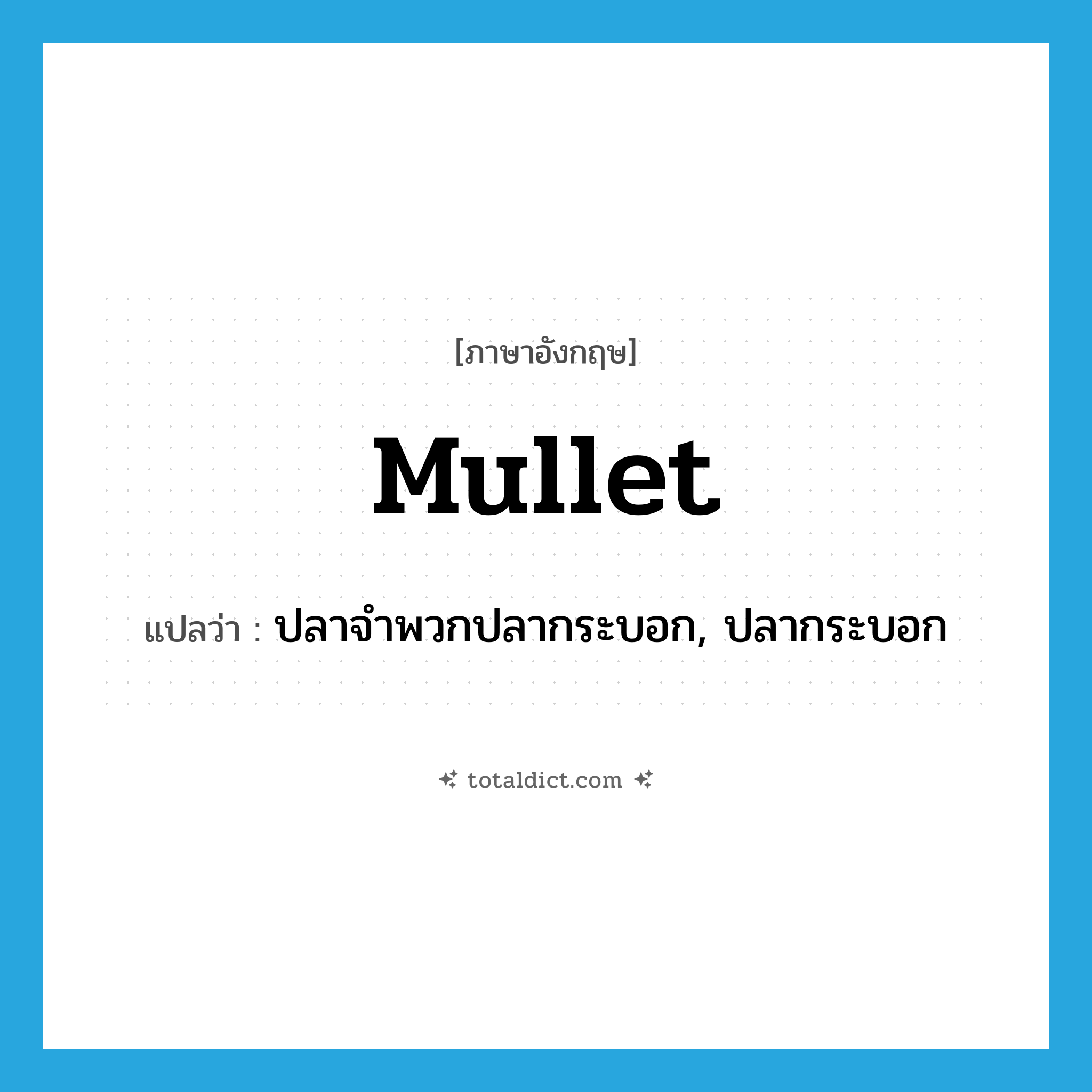 mullet แปลว่า?, คำศัพท์ภาษาอังกฤษ mullet แปลว่า ปลาจำพวกปลากระบอก, ปลากระบอก ประเภท N หมวด N