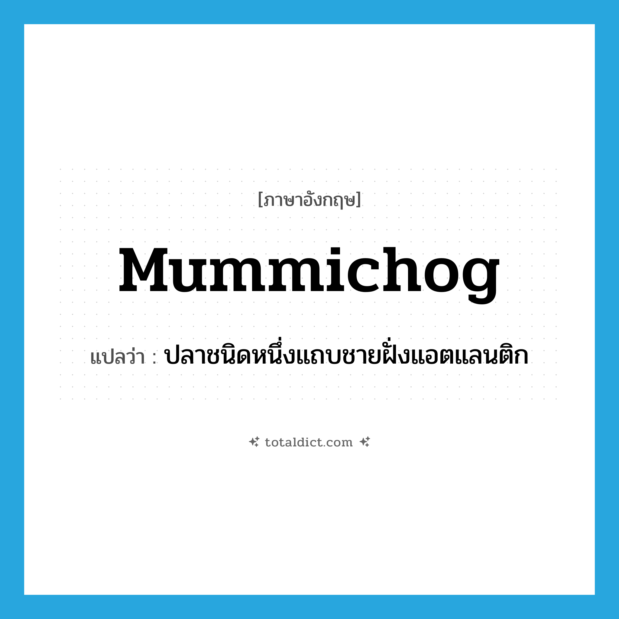 mummichog แปลว่า?, คำศัพท์ภาษาอังกฤษ mummichog แปลว่า ปลาชนิดหนึ่งแถบชายฝั่งแอตแลนติก ประเภท N หมวด N