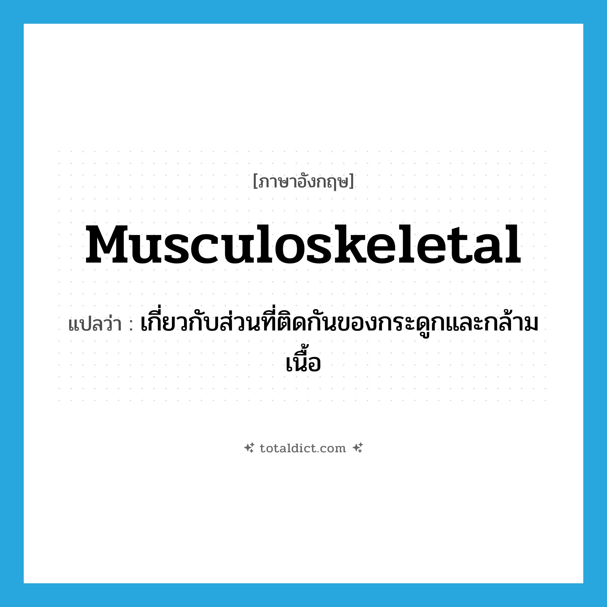 musculoskeletal แปลว่า?, คำศัพท์ภาษาอังกฤษ musculoskeletal แปลว่า เกี่ยวกับส่วนที่ติดกันของกระดูกและกล้ามเนื้อ ประเภท ADJ หมวด ADJ