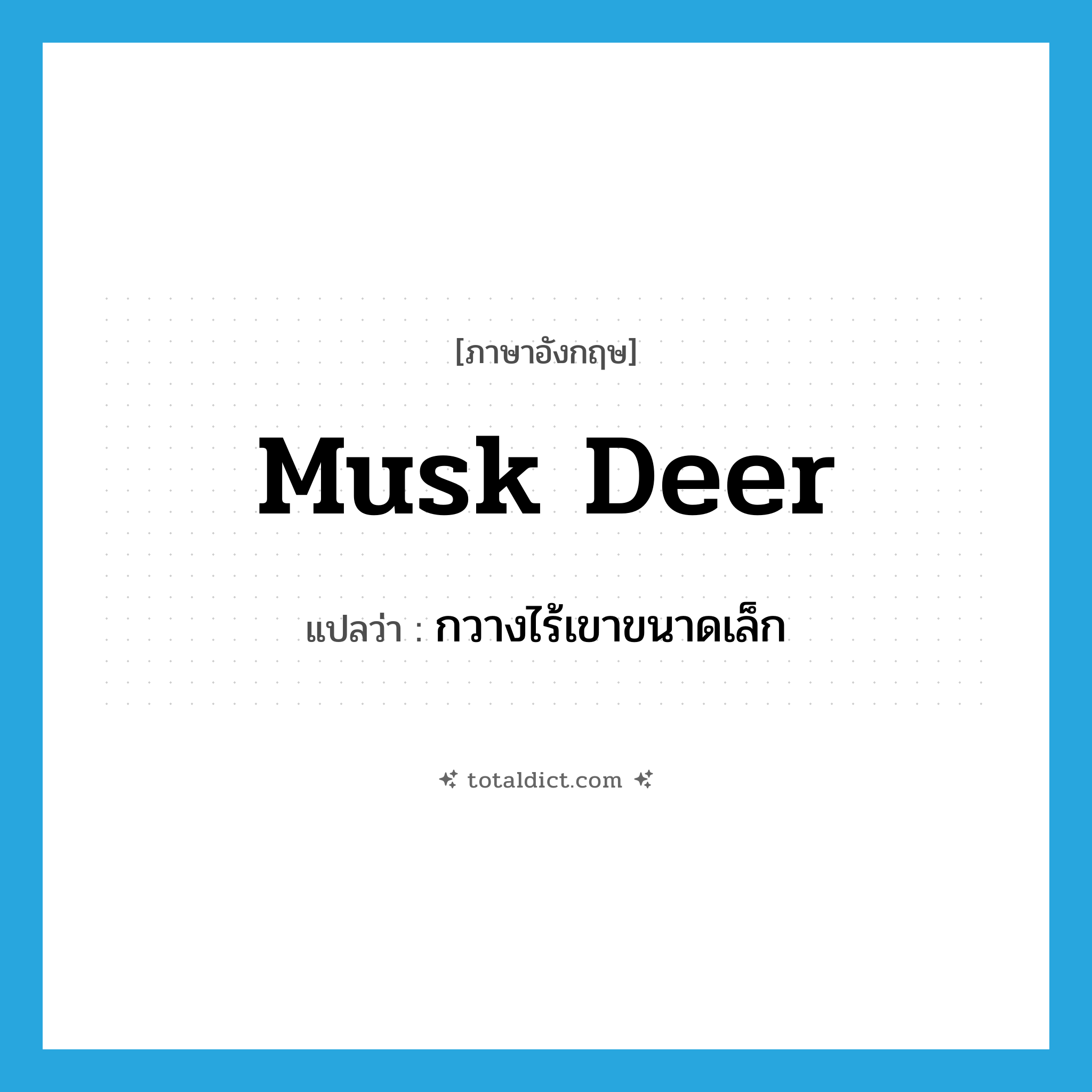 musk deer แปลว่า?, คำศัพท์ภาษาอังกฤษ musk deer แปลว่า กวางไร้เขาขนาดเล็ก ประเภท N หมวด N