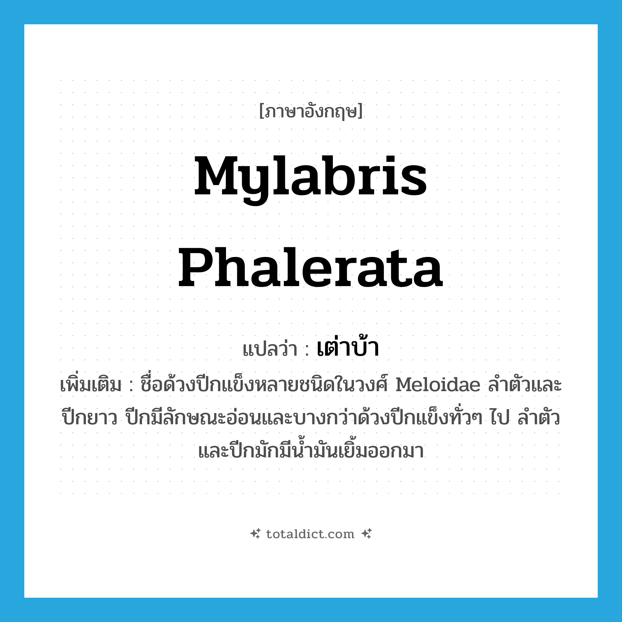 Mylabris phalerata แปลว่า?, คำศัพท์ภาษาอังกฤษ Mylabris phalerata แปลว่า เต่าบ้า ประเภท N เพิ่มเติม ชื่อด้วงปีกแข็งหลายชนิดในวงศ์ Meloidae ลำตัวและปีกยาว ปีกมีลักษณะอ่อนและบางกว่าด้วงปีกแข็งทั่วๆ ไป ลำตัวและปีกมักมีน้ำมันเยิ้มออกมา หมวด N