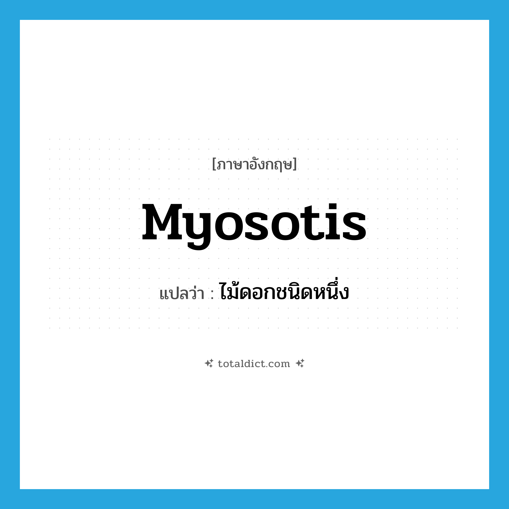 myosotis แปลว่า?, คำศัพท์ภาษาอังกฤษ myosotis แปลว่า ไม้ดอกชนิดหนึ่ง ประเภท N หมวด N
