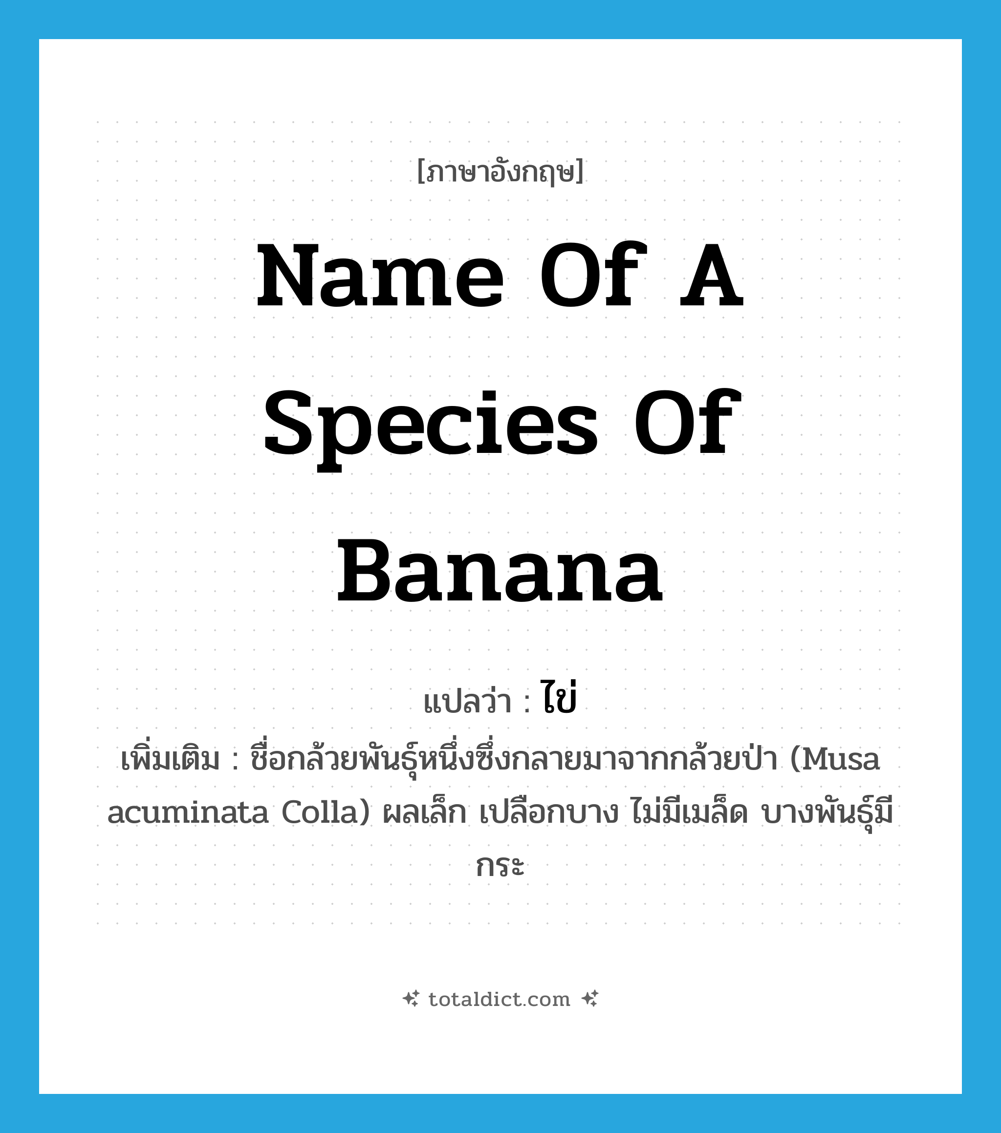 name of a species of banana แปลว่า?, คำศัพท์ภาษาอังกฤษ name of a species of banana แปลว่า ไข่ ประเภท N เพิ่มเติม ชื่อกล้วยพันธุ์หนึ่งซึ่งกลายมาจากกล้วยป่า (Musa acuminata Colla) ผลเล็ก เปลือกบาง ไม่มีเมล็ด บางพันธุ์มีกระ หมวด N