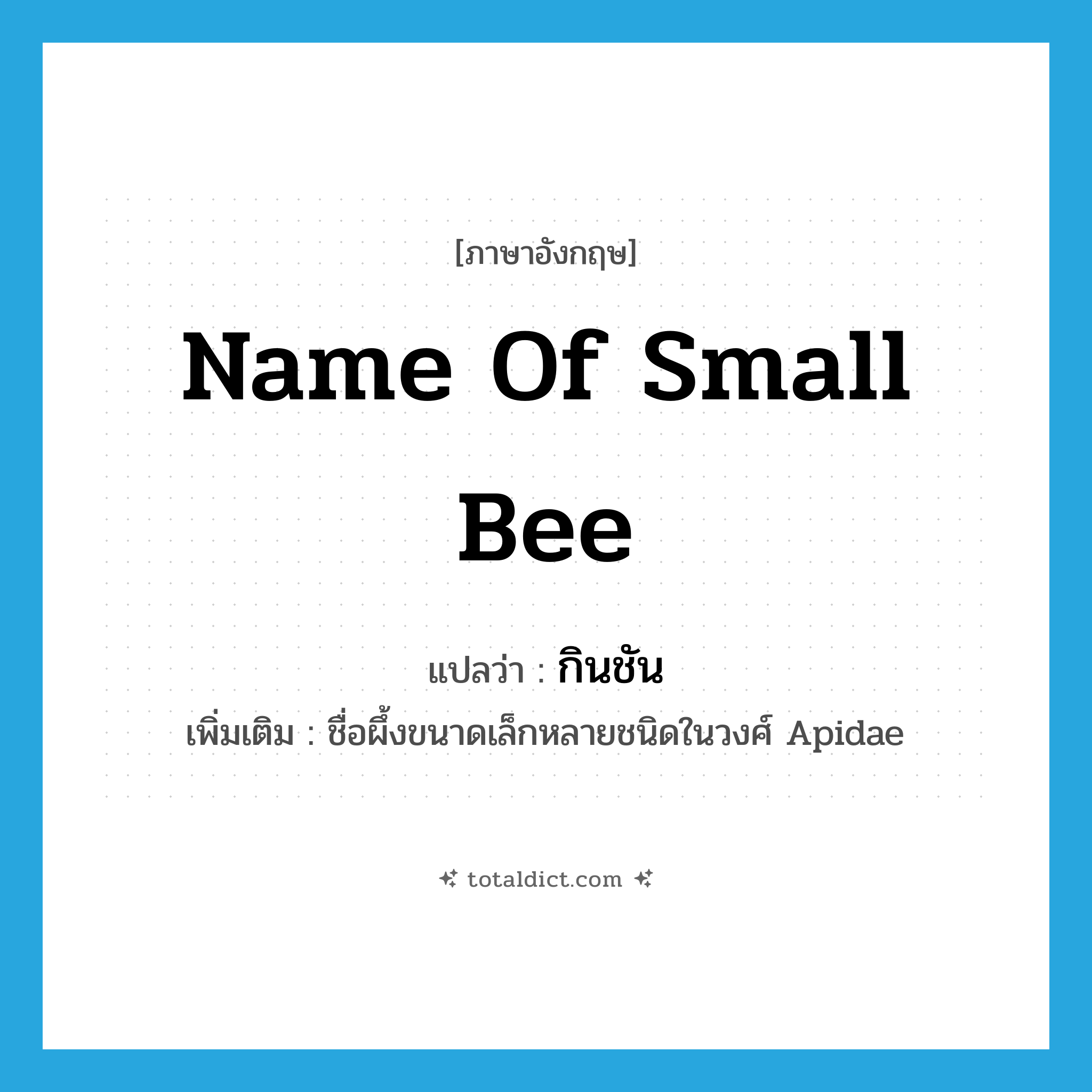 name of small bee แปลว่า?, คำศัพท์ภาษาอังกฤษ name of small bee แปลว่า กินชัน ประเภท N เพิ่มเติม ชื่อผึ้งขนาดเล็กหลายชนิดในวงศ์ Apidae หมวด N