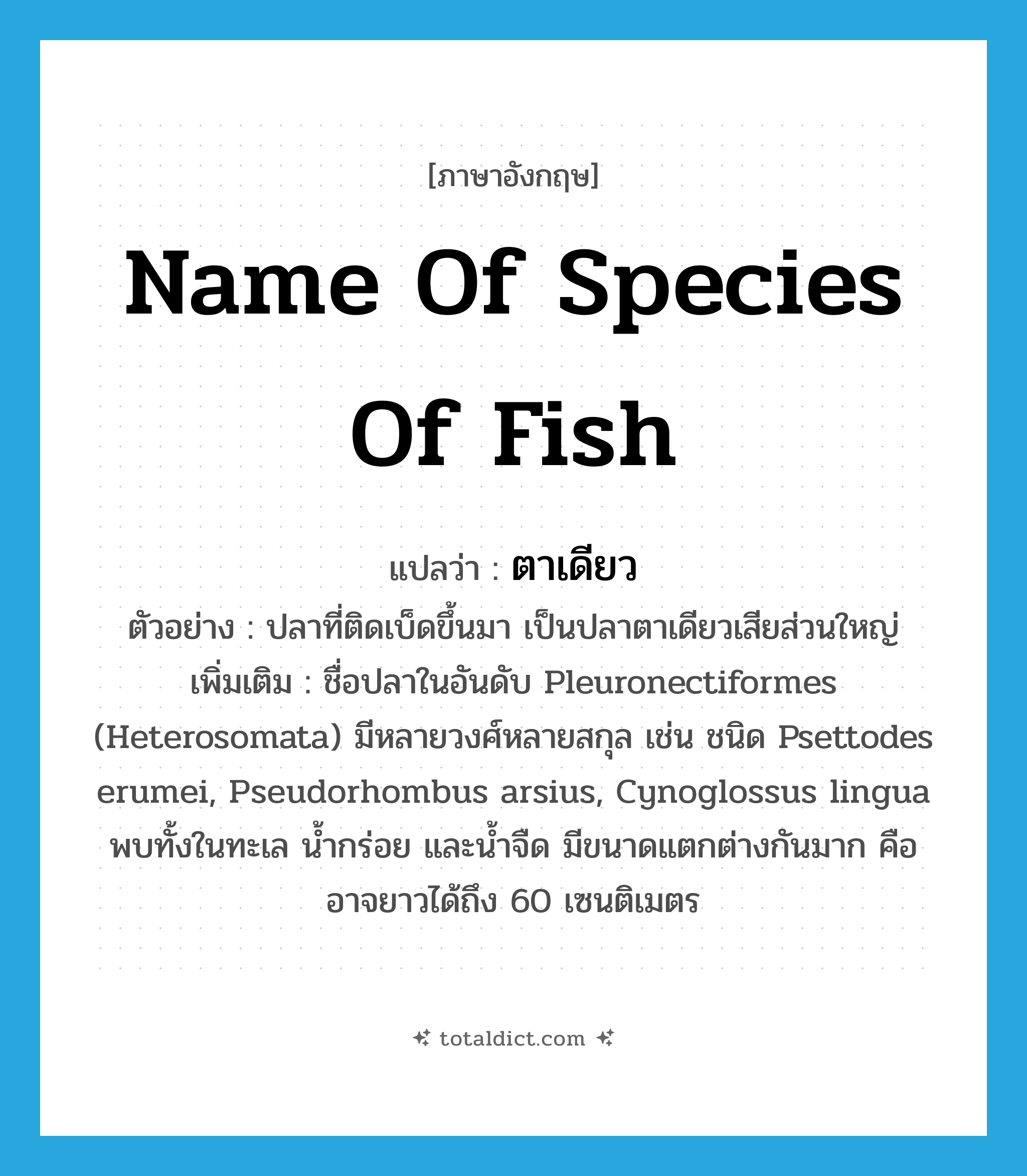 name of species of fish แปลว่า?, คำศัพท์ภาษาอังกฤษ name of species of fish แปลว่า ตาเดียว ประเภท N ตัวอย่าง ปลาที่ติดเบ็ดขึ้นมา เป็นปลาตาเดียวเสียส่วนใหญ่ เพิ่มเติม ชื่อปลาในอันดับ Pleuronectiformes (Heterosomata) มีหลายวงศ์หลายสกุล เช่น ชนิด Psettodes erumei, Pseudorhombus arsius, Cynoglossus lingua พบทั้งในทะเล น้ำกร่อย และน้ำจืด มีขนาดแตกต่างกันมาก คืออาจยาวได้ถึง 60 เซนติเมตร หมวด N