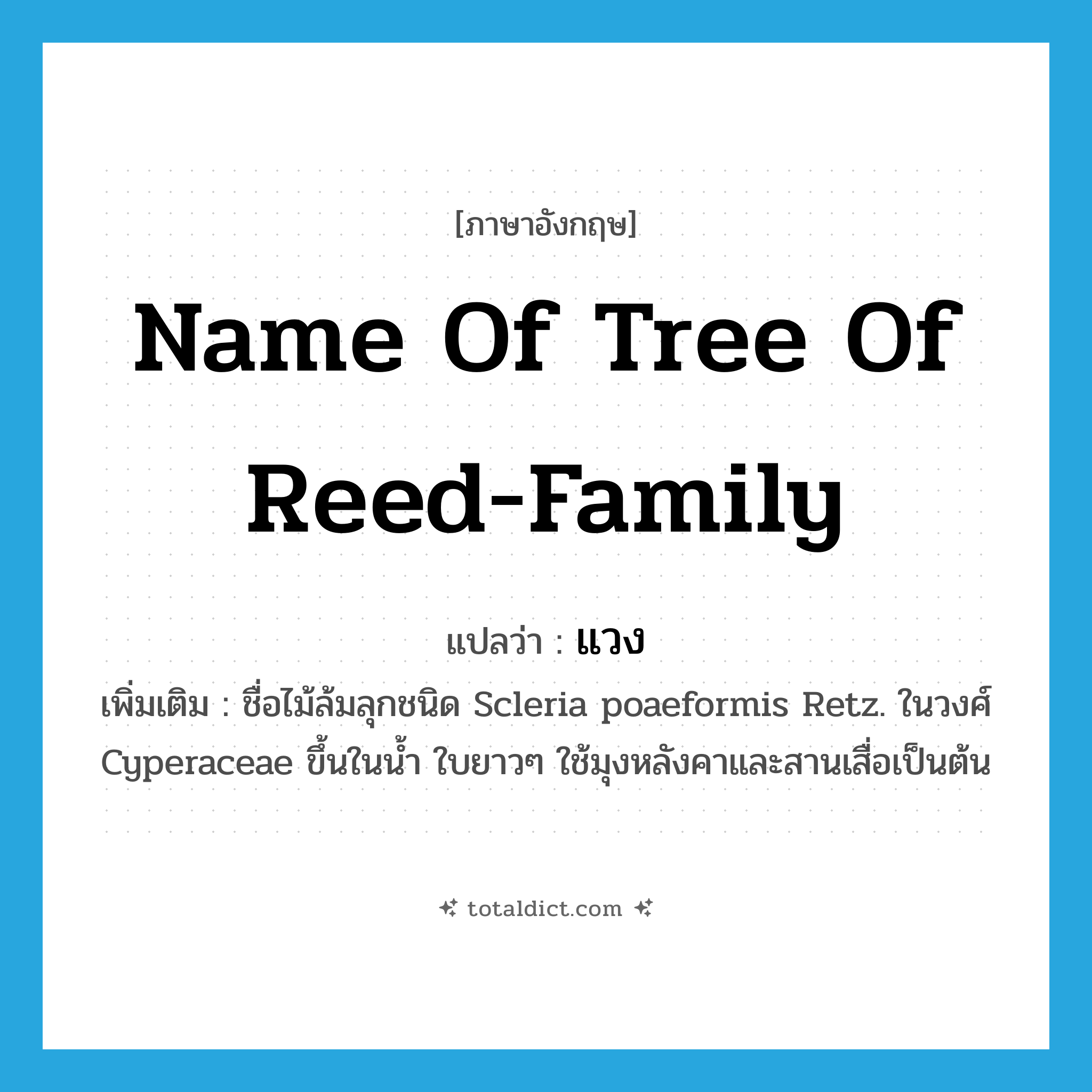 แวง ภาษาอังกฤษ?, คำศัพท์ภาษาอังกฤษ แวง แปลว่า name of tree of reed-family ประเภท N เพิ่มเติม ชื่อไม้ล้มลุกชนิด Scleria poaeformis Retz. ในวงศ์ Cyperaceae ขึ้นในน้ำ ใบยาวๆ ใช้มุงหลังคาและสานเสื่อเป็นต้น หมวด N