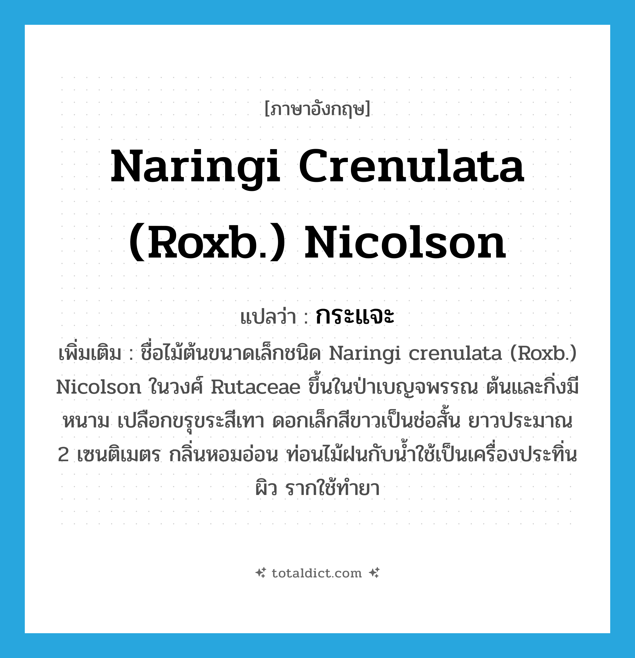 Naringi crenulata (Roxb.) Nicolson แปลว่า?, คำศัพท์ภาษาอังกฤษ Naringi crenulata (Roxb.) Nicolson แปลว่า กระแจะ ประเภท N เพิ่มเติม ชื่อไม้ต้นขนาดเล็กชนิด Naringi crenulata (Roxb.) Nicolson ในวงศ์ Rutaceae ขึ้นในป่าเบญจพรรณ ต้นและกิ่งมีหนาม เปลือกขรุขระสีเทา ดอกเล็กสีขาวเป็นช่อสั้น ยาวประมาณ 2 เซนติเมตร กลิ่นหอมอ่อน ท่อนไม้ฝนกับน้ำใช้เป็นเครื่องประทิ่นผิว รากใช้ทำยา หมวด N