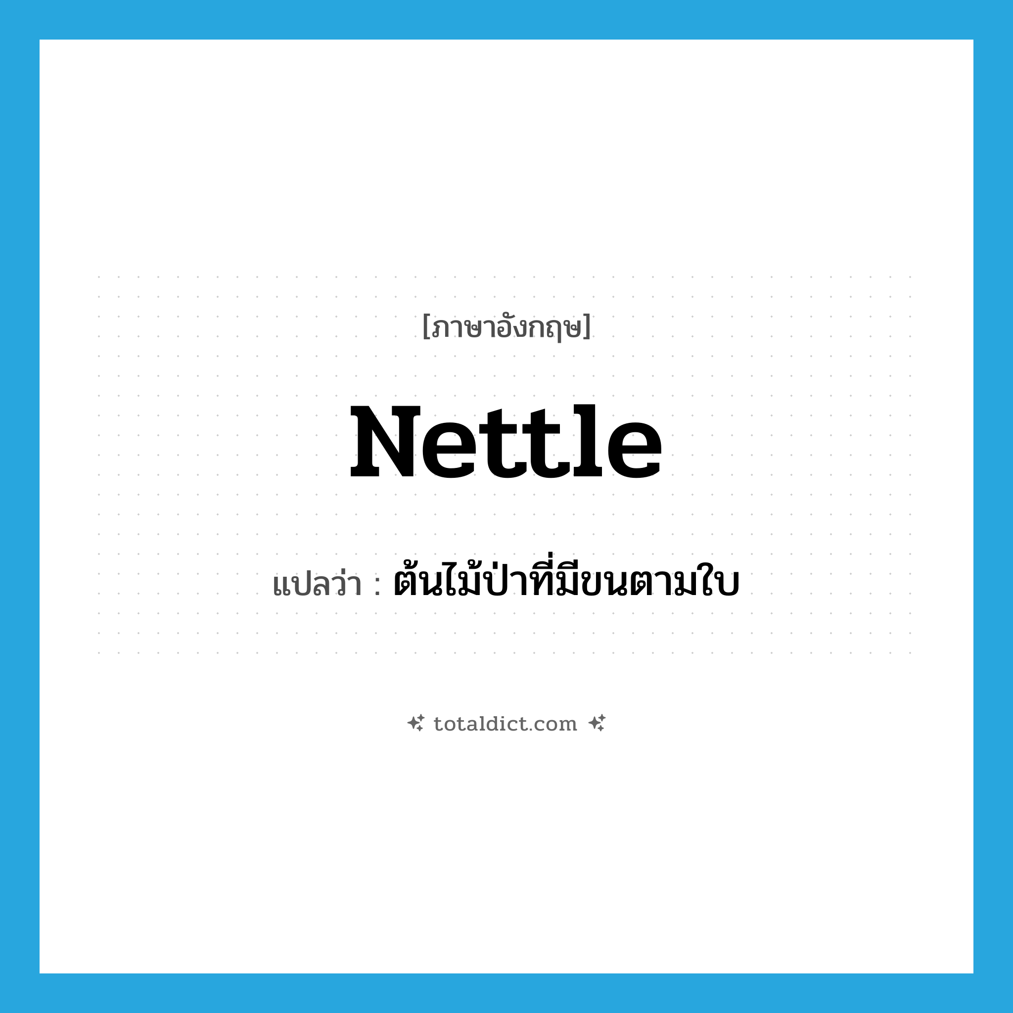 nettle แปลว่า?, คำศัพท์ภาษาอังกฤษ nettle แปลว่า ต้นไม้ป่าที่มีขนตามใบ ประเภท N หมวด N