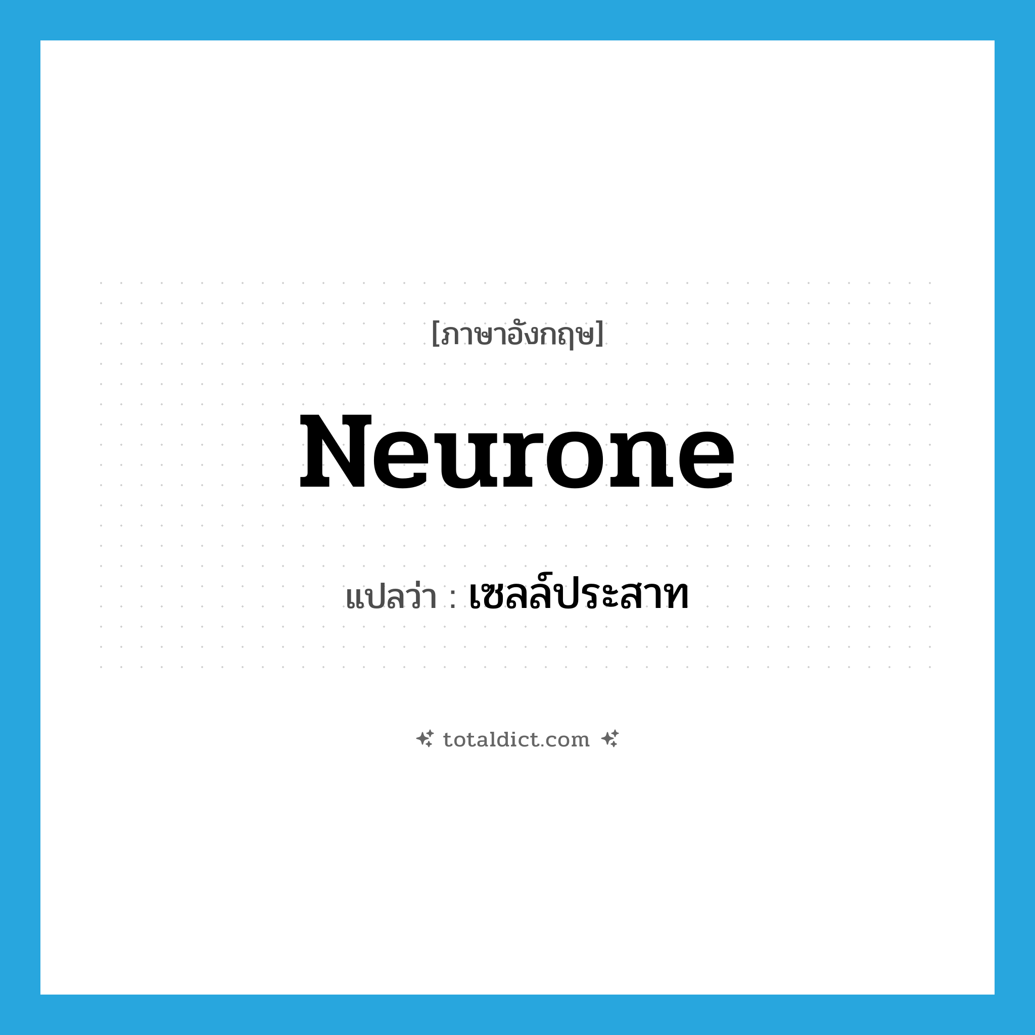 neurone แปลว่า?, คำศัพท์ภาษาอังกฤษ neurone แปลว่า เซลล์ประสาท ประเภท N หมวด N