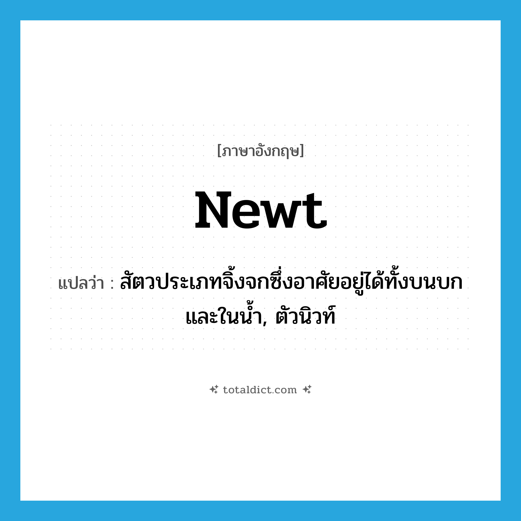 newt แปลว่า?, คำศัพท์ภาษาอังกฤษ newt แปลว่า สัตวประเภทจิ้งจกซึ่งอาศัยอยู่ได้ทั้งบนบกและในน้ำ, ตัวนิวท์ ประเภท N หมวด N