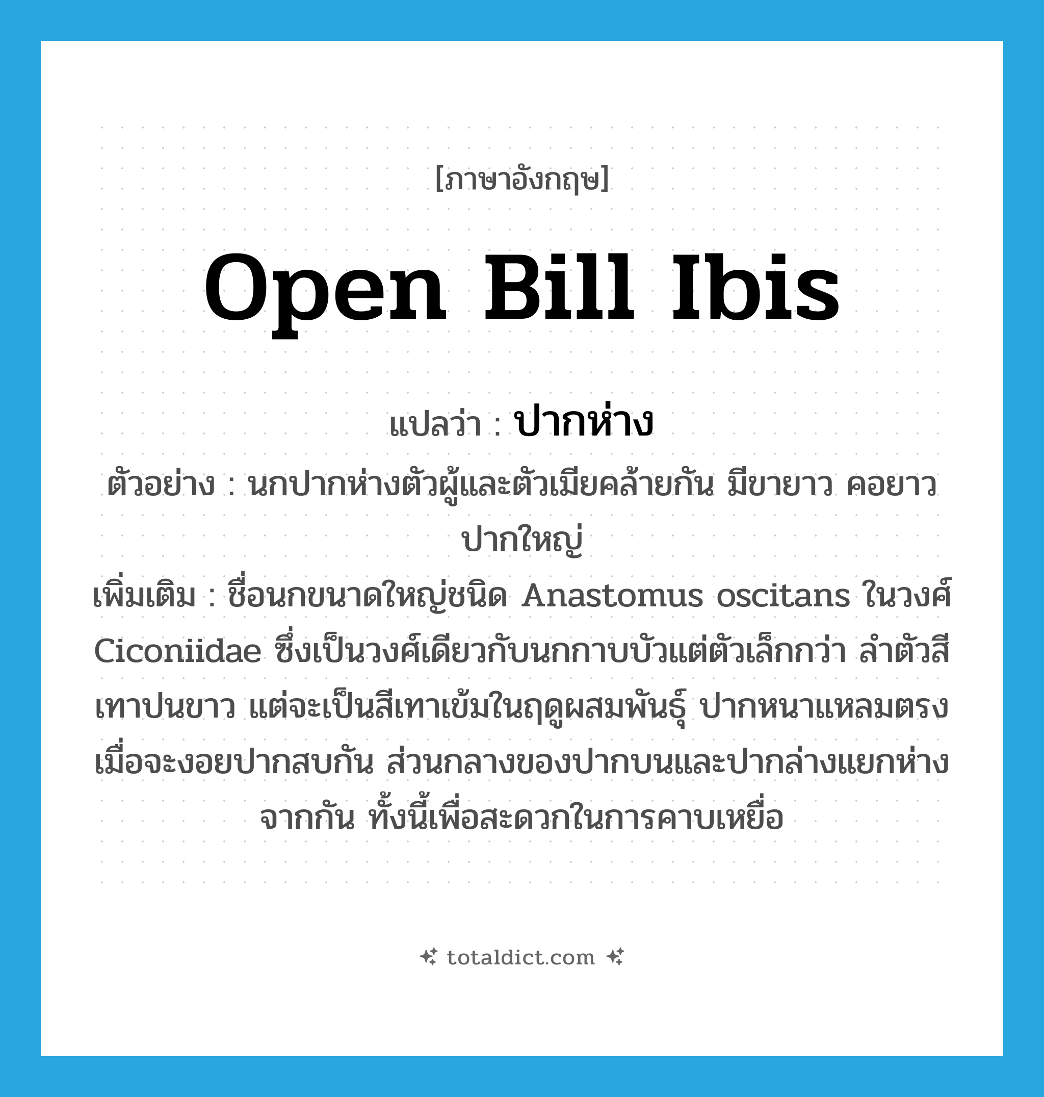 open bill ibis แปลว่า?, คำศัพท์ภาษาอังกฤษ open bill ibis แปลว่า ปากห่าง ประเภท N ตัวอย่าง นกปากห่างตัวผู้และตัวเมียคล้ายกัน มีขายาว คอยาว ปากใหญ่ เพิ่มเติม ชื่อนกขนาดใหญ่ชนิด Anastomus oscitans ในวงศ์ Ciconiidae ซึ่งเป็นวงศ์เดียวกับนกกาบบัวแต่ตัวเล็กกว่า ลำตัวสีเทาปนขาว แต่จะเป็นสีเทาเข้มในฤดูผสมพันธุ์ ปากหนาแหลมตรง เมื่อจะงอยปากสบกัน ส่วนกลางของปากบนและปากล่างแยกห่างจากกัน ทั้งนี้เพื่อสะดวกในการคาบเหยื่อ หมวด N
