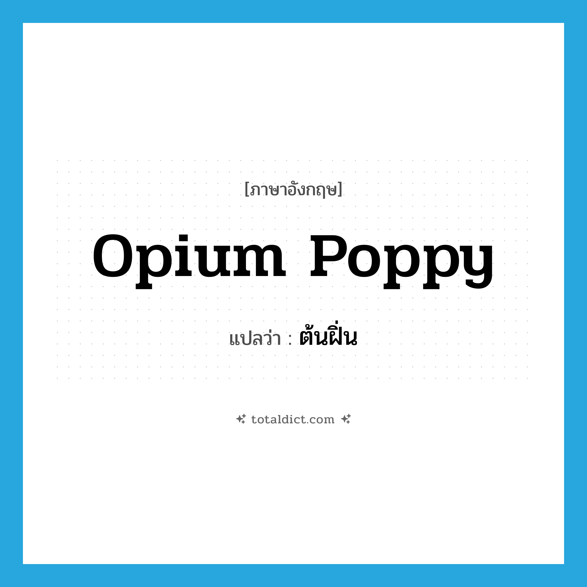 opium poppy แปลว่า?, คำศัพท์ภาษาอังกฤษ opium poppy แปลว่า ต้นฝิ่น ประเภท N หมวด N