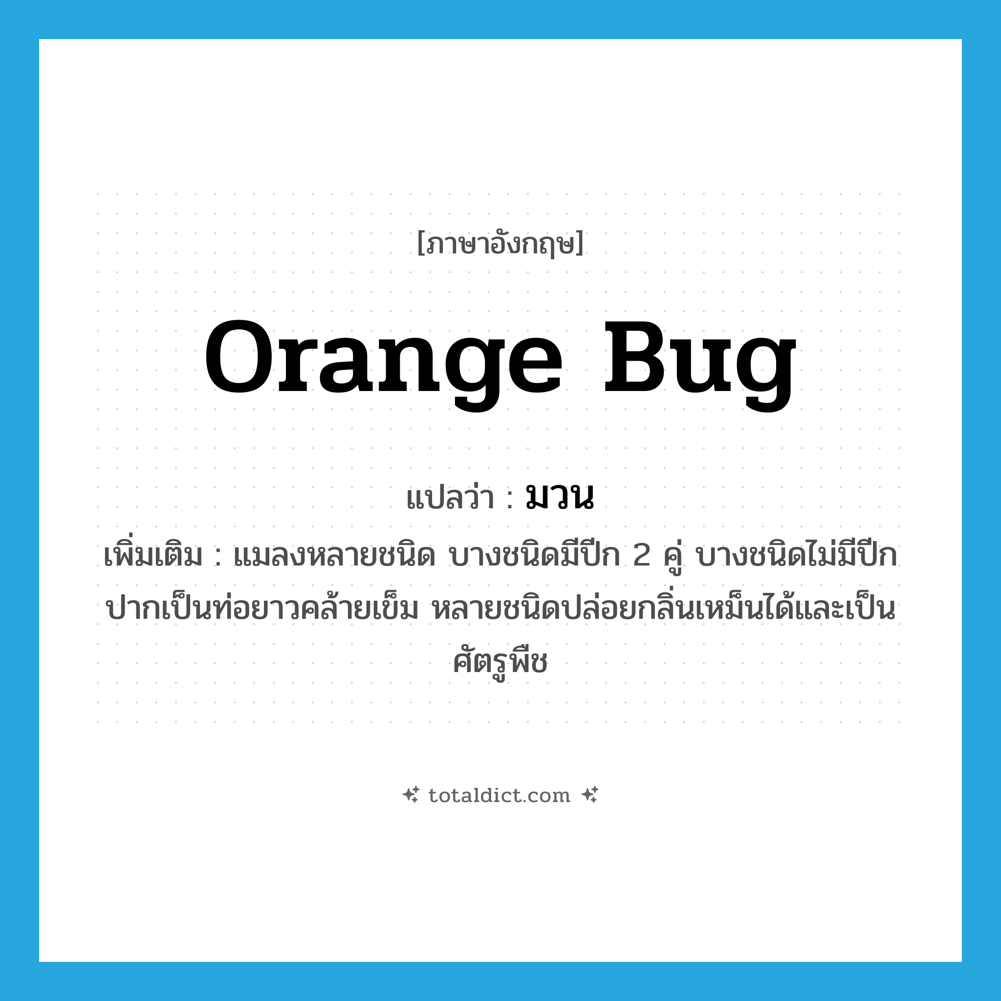 มวน ภาษาอังกฤษ?, คำศัพท์ภาษาอังกฤษ มวน แปลว่า orange bug ประเภท N เพิ่มเติม แมลงหลายชนิด บางชนิดมีปีก 2 คู่ บางชนิดไม่มีปีก ปากเป็นท่อยาวคล้ายเข็ม หลายชนิดปล่อยกลิ่นเหม็นได้และเป็นศัตรูพืช หมวด N