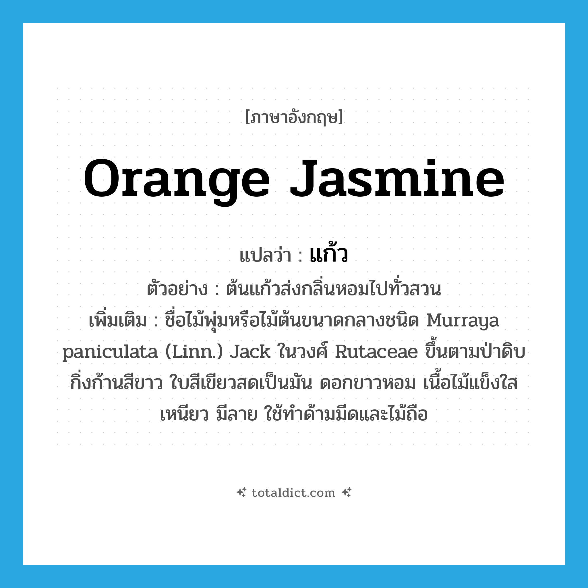 แก้ว ภาษาอังกฤษ?, คำศัพท์ภาษาอังกฤษ แก้ว แปลว่า orange jasmine ประเภท N ตัวอย่าง ต้นแก้วส่งกลิ่นหอมไปทั่วสวน เพิ่มเติม ชื่อไม้พุ่มหรือไม้ต้นขนาดกลางชนิด Murraya paniculata (Linn.) Jack ในวงศ์ Rutaceae ขึ้นตามป่าดิบ กิ่งก้านสีขาว ใบสีเขียวสดเป็นมัน ดอกขาวหอม เนื้อไม้แข็งใส เหนียว มีลาย ใช้ทำด้ามมีดและไม้ถือ หมวด N