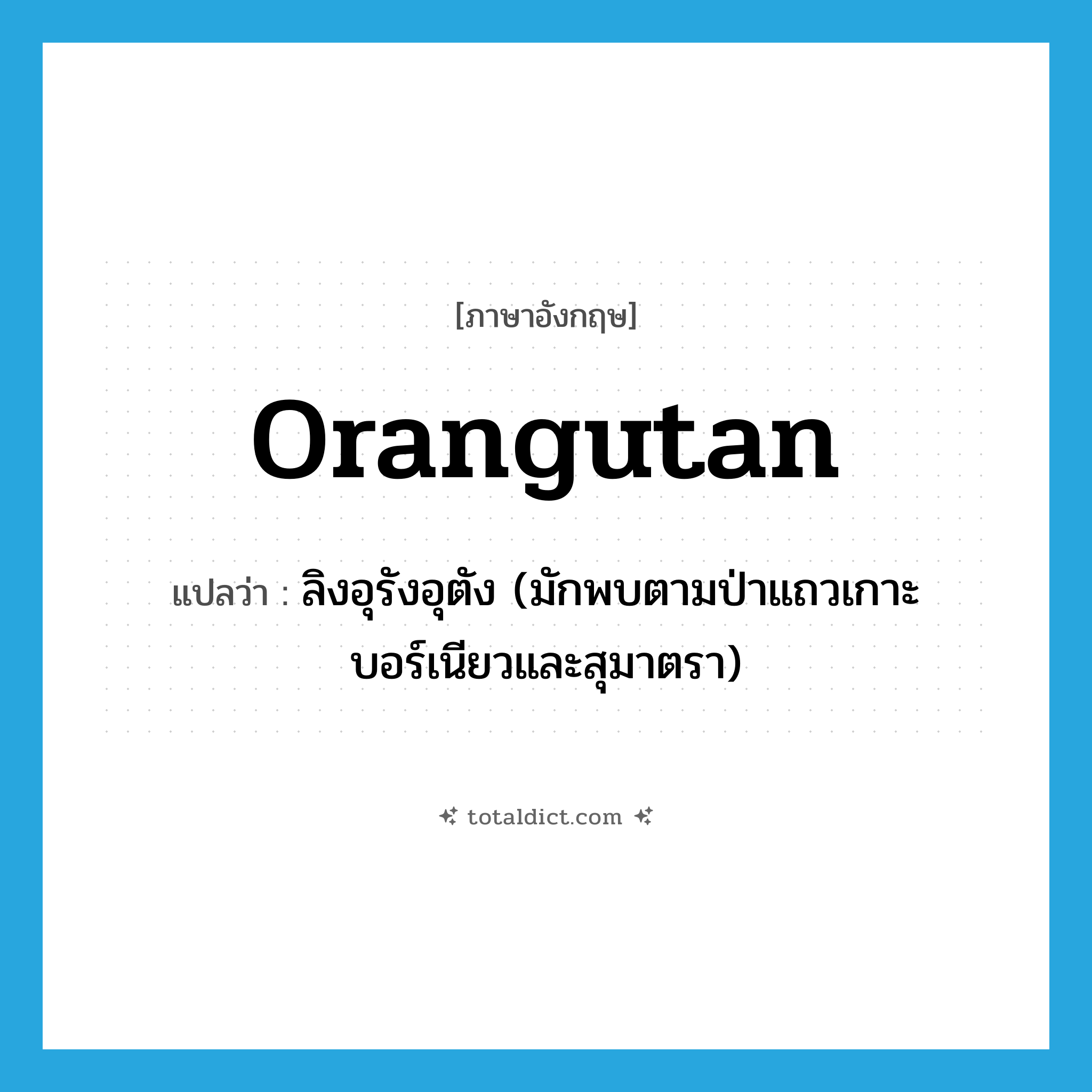orangutan แปลว่า?, คำศัพท์ภาษาอังกฤษ orangutan แปลว่า ลิงอุรังอุตัง (มักพบตามป่าแถวเกาะบอร์เนียวและสุมาตรา) ประเภท N หมวด N