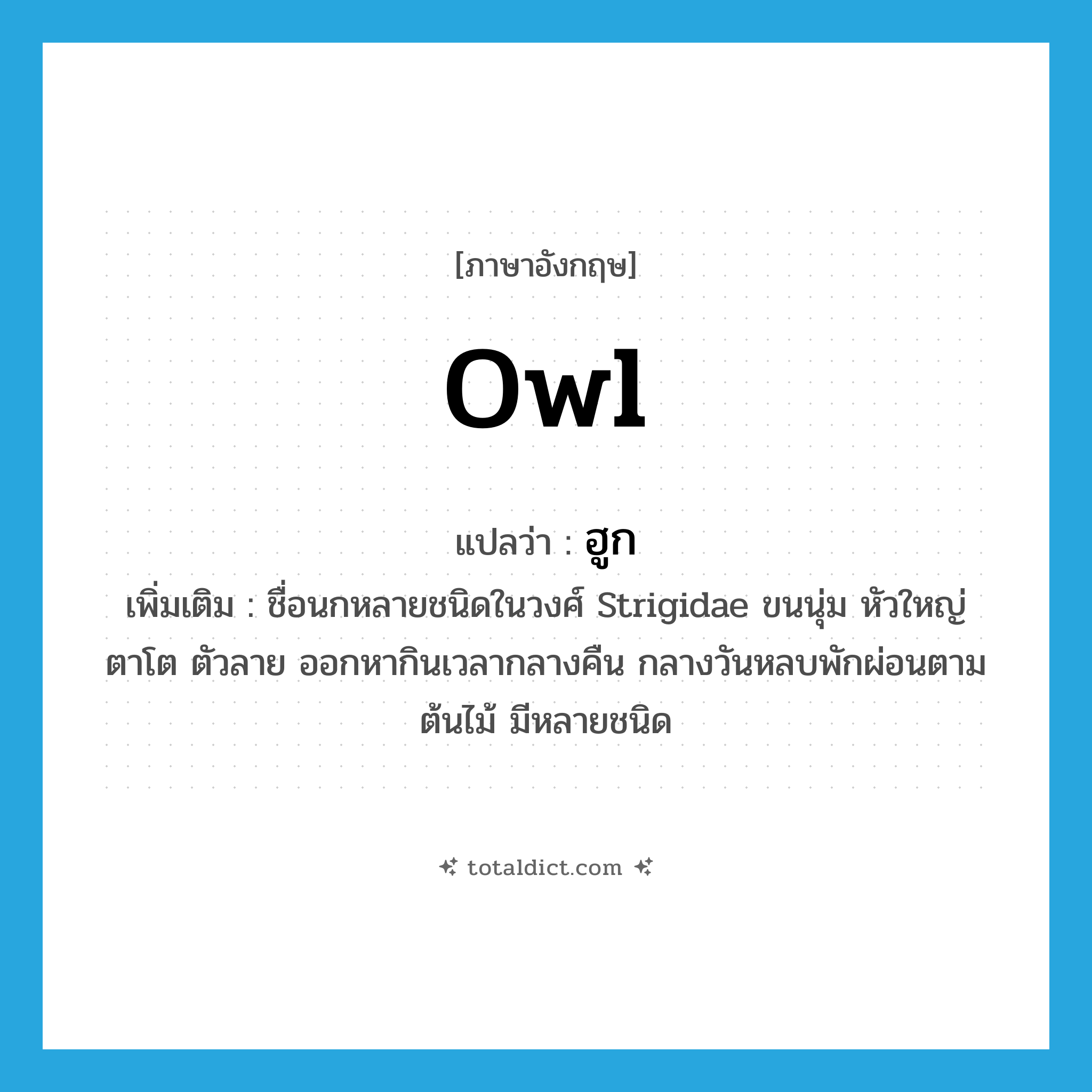 owl แปลว่า?, คำศัพท์ภาษาอังกฤษ owl แปลว่า ฮูก ประเภท N เพิ่มเติม ชื่อนกหลายชนิดในวงศ์ Strigidae ขนนุ่ม หัวใหญ่ ตาโต ตัวลาย ออกหากินเวลากลางคืน กลางวันหลบพักผ่อนตามต้นไม้ มีหลายชนิด หมวด N