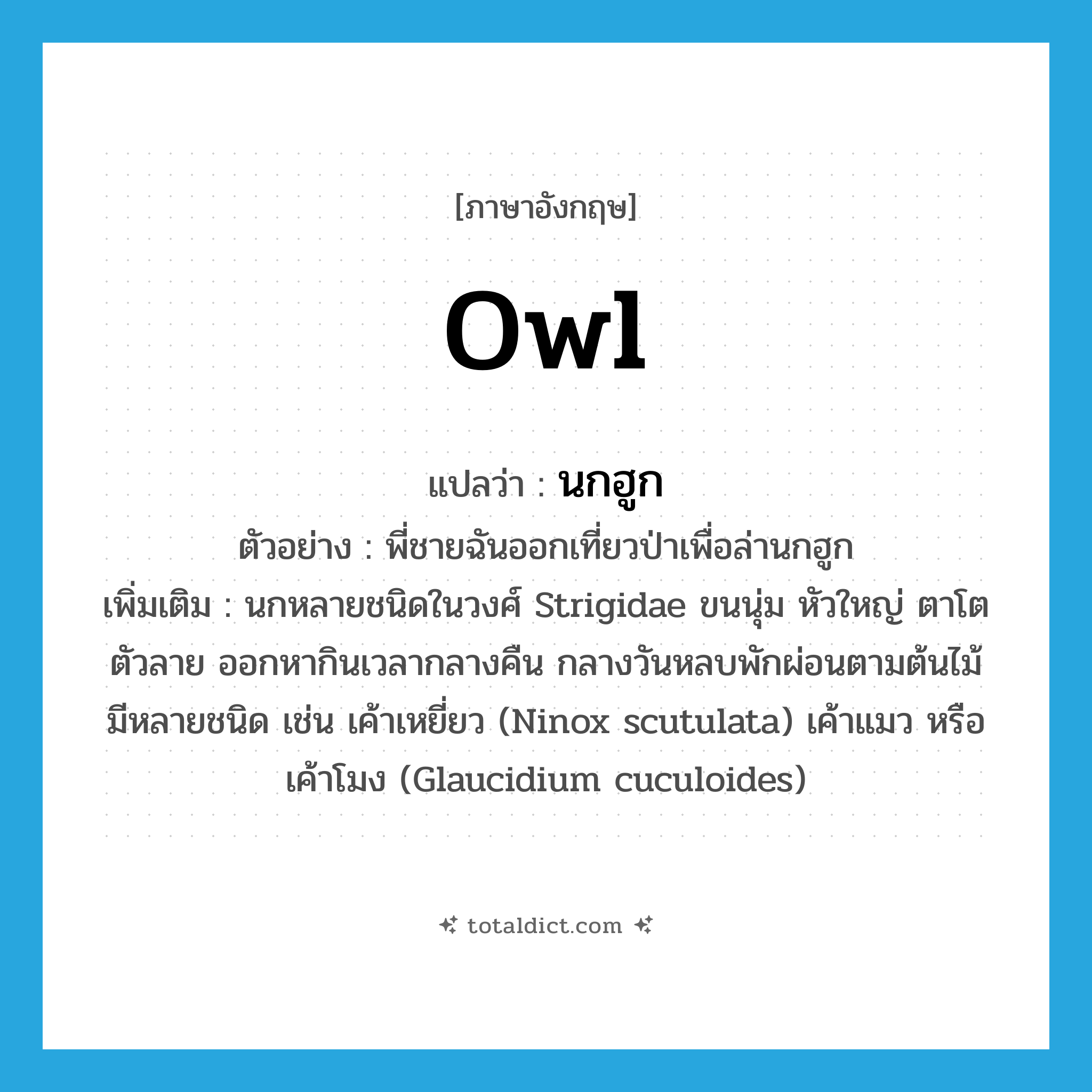 owl แปลว่า?, คำศัพท์ภาษาอังกฤษ owl แปลว่า นกฮูก ประเภท N ตัวอย่าง พี่ชายฉันออกเที่ยวป่าเพื่อล่านกฮูก เพิ่มเติม นกหลายชนิดในวงศ์ Strigidae ขนนุ่ม หัวใหญ่ ตาโต ตัวลาย ออกหากินเวลากลางคืน กลางวันหลบพักผ่อนตามต้นไม้ มีหลายชนิด เช่น เค้าเหยี่ยว (Ninox scutulata) เค้าแมว หรือ เค้าโมง (Glaucidium cuculoides) หมวด N