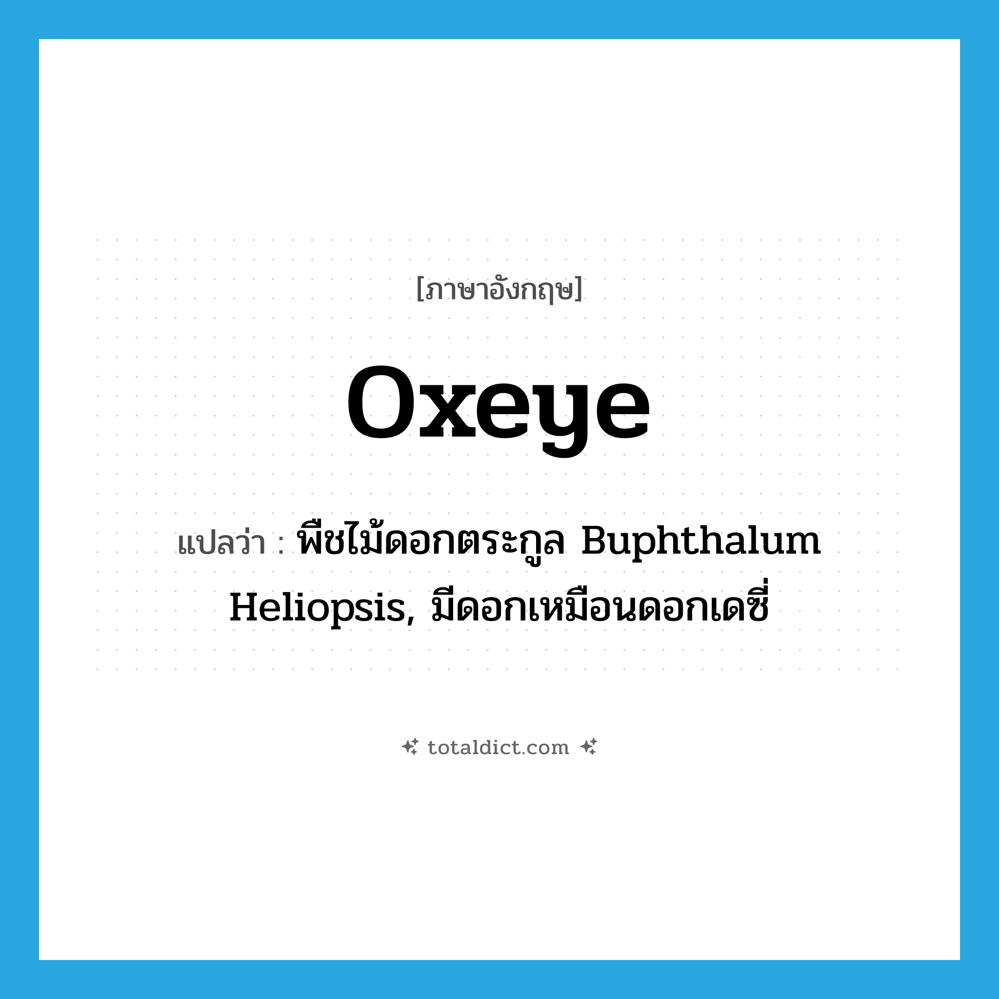 oxeye แปลว่า?, คำศัพท์ภาษาอังกฤษ oxeye แปลว่า พืชไม้ดอกตระกูล Buphthalum Heliopsis, มีดอกเหมือนดอกเดซี่ ประเภท N หมวด N