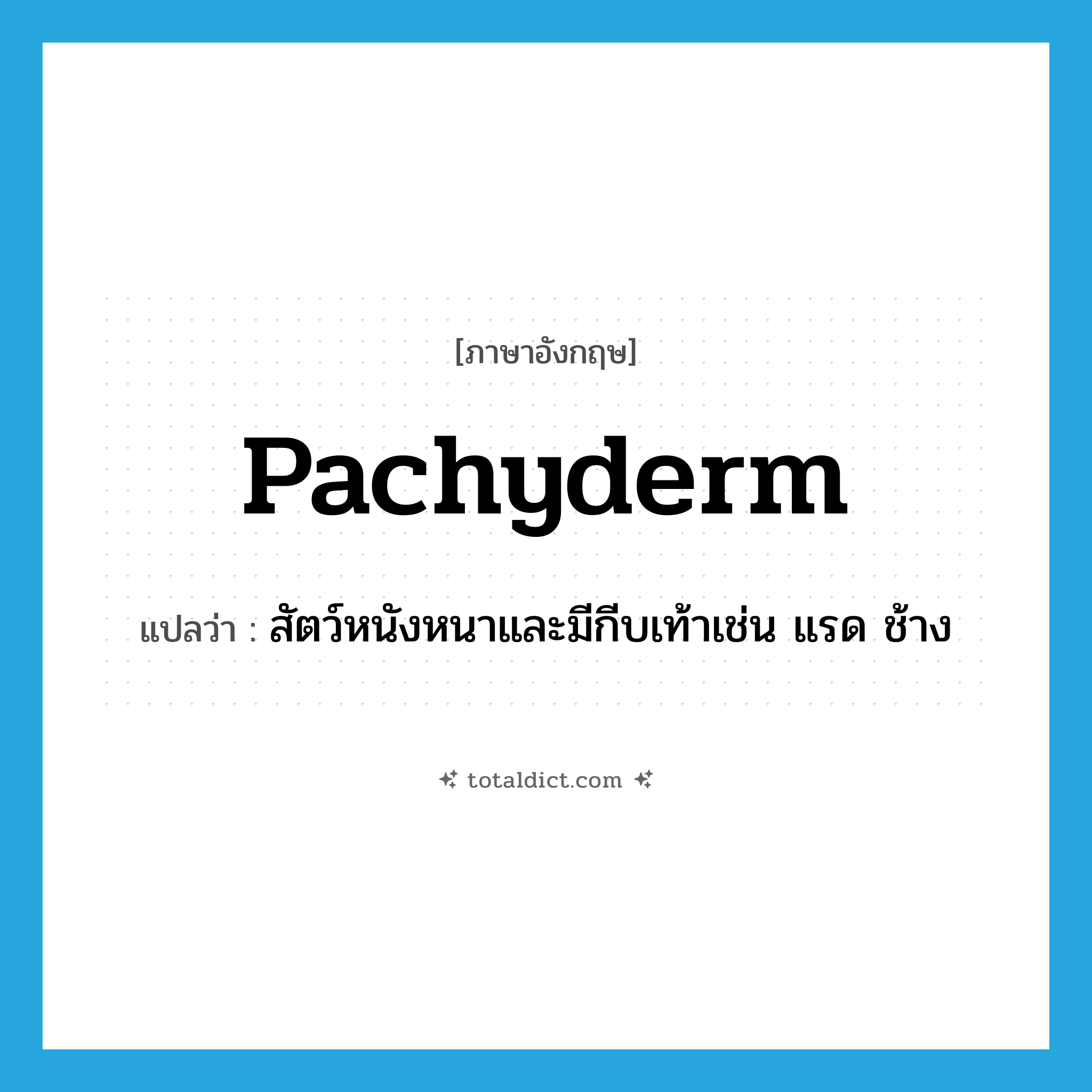 pachyderm แปลว่า?, คำศัพท์ภาษาอังกฤษ pachyderm แปลว่า สัตว์หนังหนาและมีกีบเท้าเช่น แรด ช้าง ประเภท N หมวด N