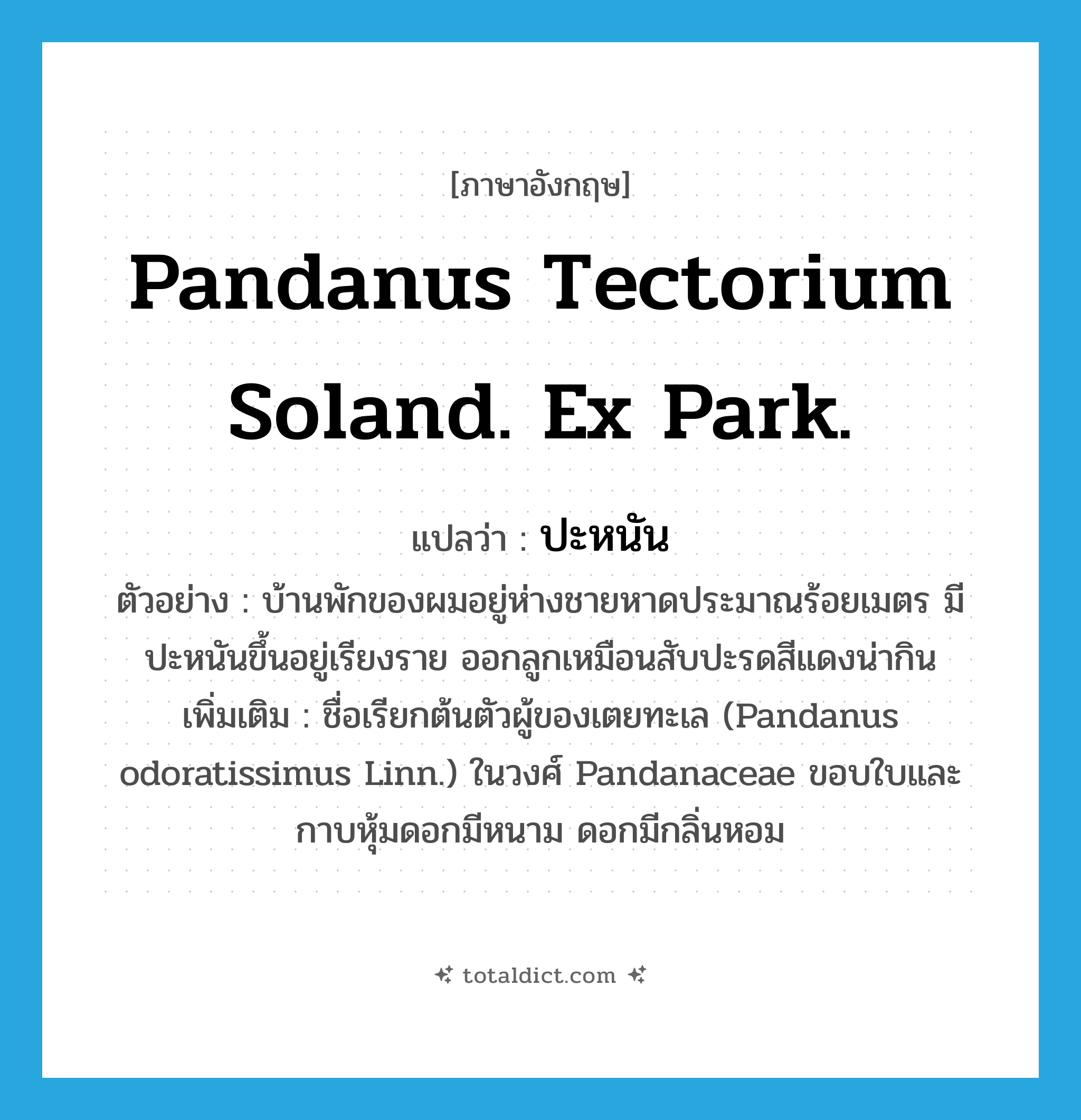 Pandanus tectorium Soland. Ex Park. แปลว่า?, คำศัพท์ภาษาอังกฤษ Pandanus tectorium Soland. Ex Park. แปลว่า ปะหนัน ประเภท N ตัวอย่าง บ้านพักของผมอยู่ห่างชายหาดประมาณร้อยเมตร มีปะหนันขึ้นอยู่เรียงราย ออกลูกเหมือนสับปะรดสีแดงน่ากิน เพิ่มเติม ชื่อเรียกต้นตัวผู้ของเตยทะเล (Pandanus odoratissimus Linn.) ในวงศ์ Pandanaceae ขอบใบและกาบหุ้มดอกมีหนาม ดอกมีกลิ่นหอม หมวด N
