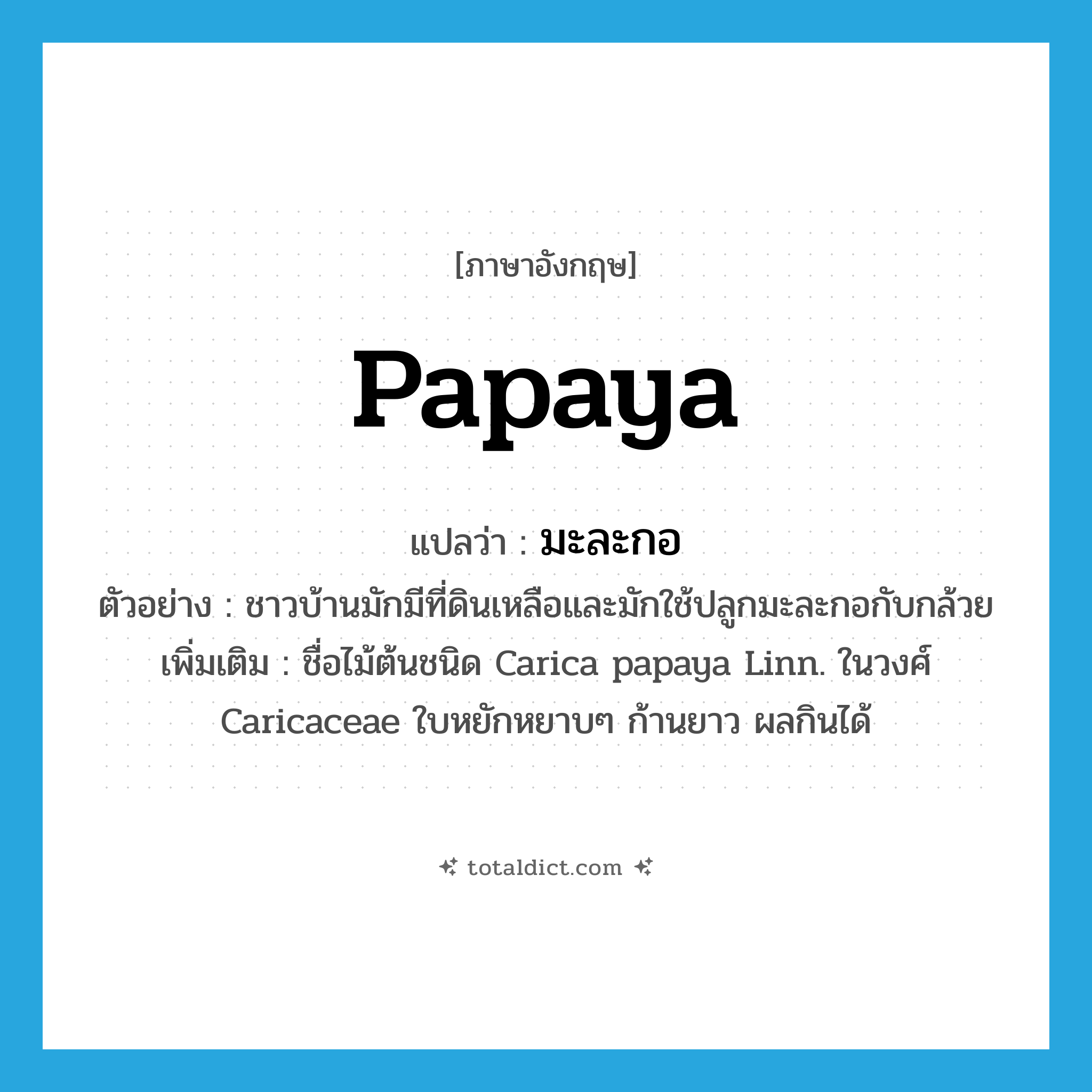 papaya แปลว่า?, คำศัพท์ภาษาอังกฤษ papaya แปลว่า มะละกอ ประเภท N ตัวอย่าง ชาวบ้านมักมีที่ดินเหลือและมักใช้ปลูกมะละกอกับกล้วย เพิ่มเติม ชื่อไม้ต้นชนิด Carica papaya Linn. ในวงศ์ Caricaceae ใบหยักหยาบๆ ก้านยาว ผลกินได้ หมวด N