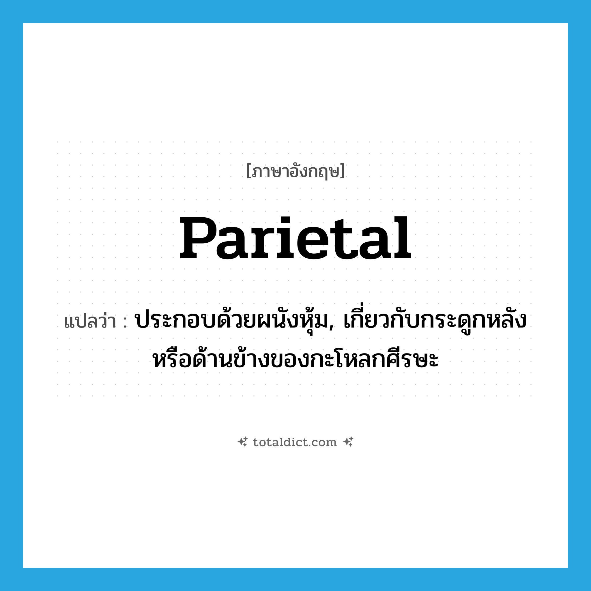 parietal แปลว่า?, คำศัพท์ภาษาอังกฤษ parietal แปลว่า ประกอบด้วยผนังหุ้ม, เกี่ยวกับกระดูกหลังหรือด้านข้างของกะโหลกศีรษะ ประเภท ADJ หมวด ADJ