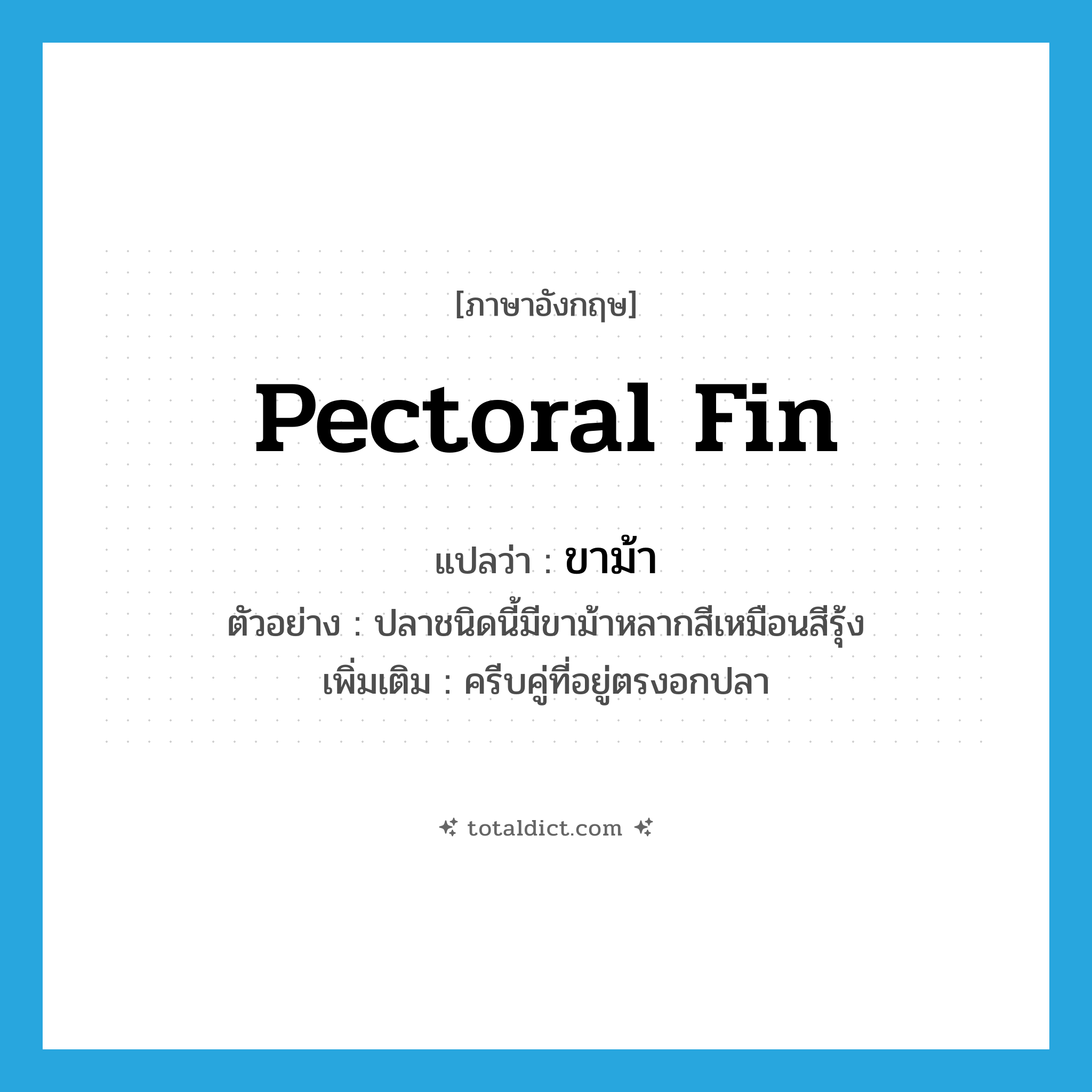 pectoral fin แปลว่า?, คำศัพท์ภาษาอังกฤษ pectoral fin แปลว่า ขาม้า ประเภท N ตัวอย่าง ปลาชนิดนี้มีขาม้าหลากสีเหมือนสีรุ้ง เพิ่มเติม ครีบคู่ที่อยู่ตรงอกปลา หมวด N