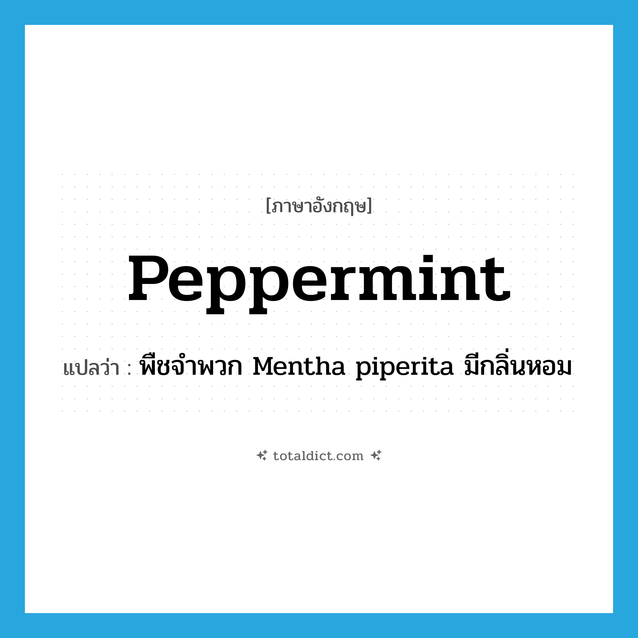 peppermint แปลว่า?, คำศัพท์ภาษาอังกฤษ peppermint แปลว่า พืชจำพวก Mentha piperita มีกลิ่นหอม ประเภท N หมวด N