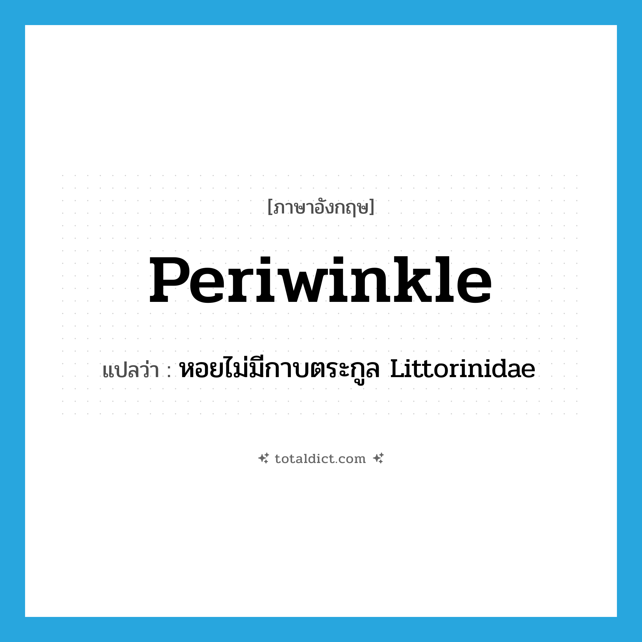 periwinkle แปลว่า?, คำศัพท์ภาษาอังกฤษ periwinkle แปลว่า หอยไม่มีกาบตระกูล Littorinidae ประเภท N หมวด N