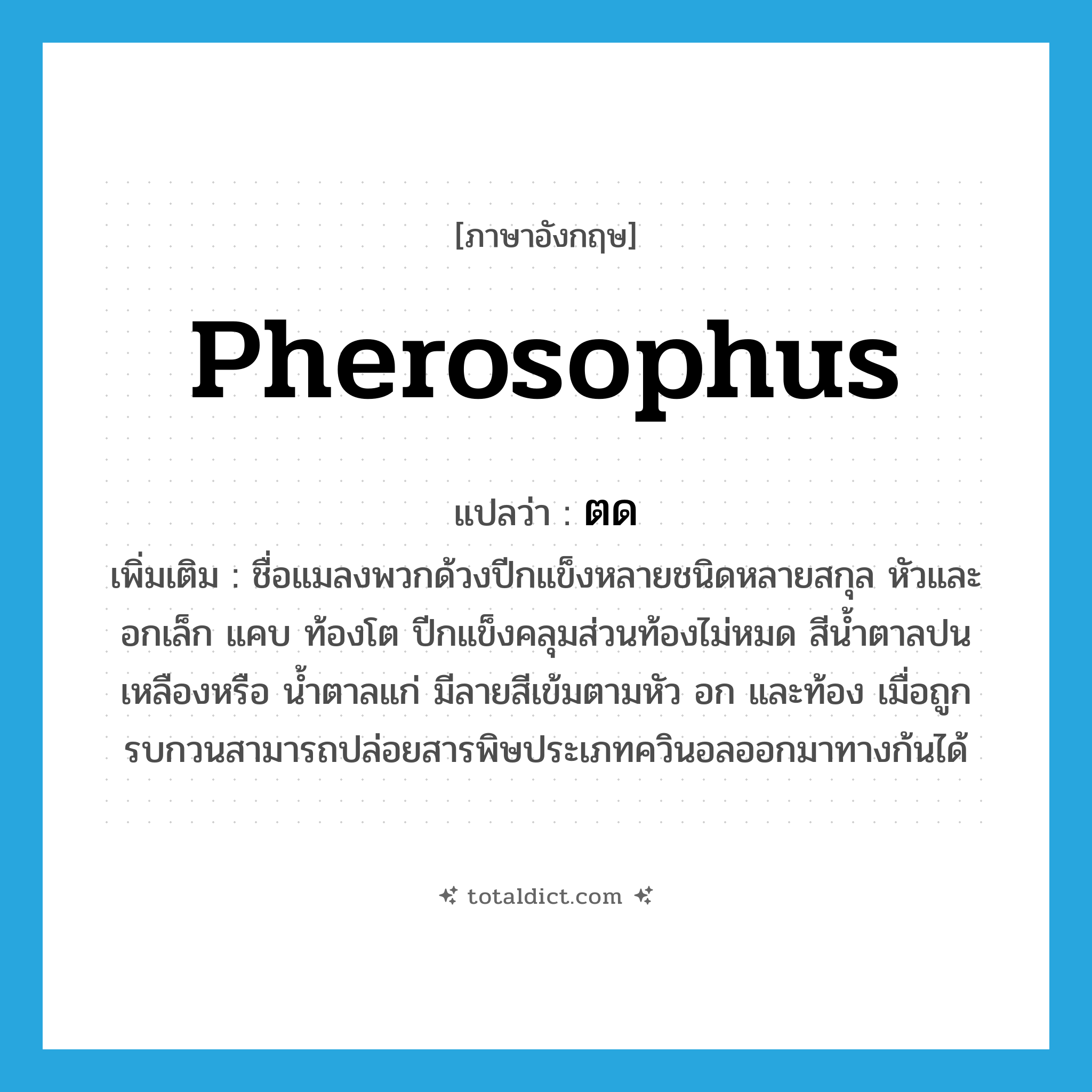 ตด ภาษาอังกฤษ?, คำศัพท์ภาษาอังกฤษ ตด แปลว่า Pherosophus ประเภท N เพิ่มเติม ชื่อแมลงพวกด้วงปีกแข็งหลายชนิดหลายสกุล หัวและอกเล็ก แคบ ท้องโต ปีกแข็งคลุมส่วนท้องไม่หมด สีน้ำตาลปนเหลืองหรือ น้ำตาลแก่ มีลายสีเข้มตามหัว อก และท้อง เมื่อถูกรบกวนสามารถปล่อยสารพิษประเภทควินอลออกมาทางก้นได้ หมวด N