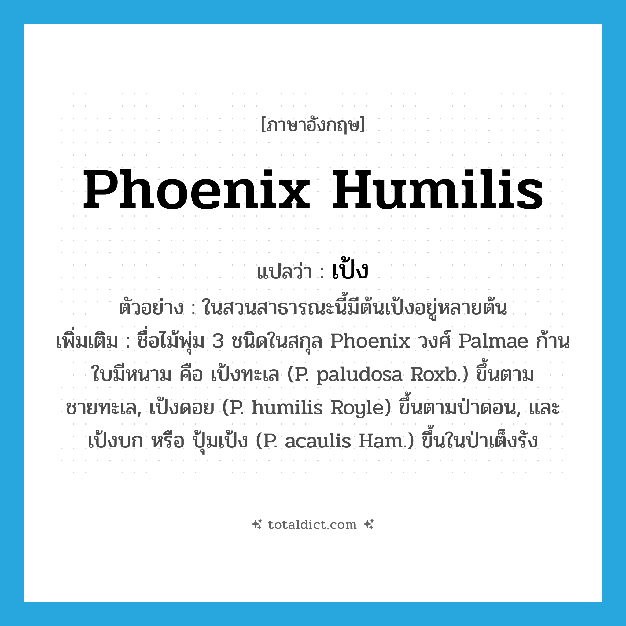 เป้ง ภาษาอังกฤษ?, คำศัพท์ภาษาอังกฤษ เป้ง แปลว่า Phoenix humilis ประเภท N ตัวอย่าง ในสวนสาธารณะนี้มีต้นเป้งอยู่หลายต้น เพิ่มเติม ชื่อไม้พุ่ม 3 ชนิดในสกุล Phoenix วงศ์ Palmae ก้านใบมีหนาม คือ เป้งทะเล (P. paludosa Roxb.) ขึ้นตามชายทะเล, เป้งดอย (P. humilis Royle) ขึ้นตามป่าดอน, และ เป้งบก หรือ ปุ้มเป้ง (P. acaulis Ham.) ขึ้นในป่าเต็งรัง หมวด N