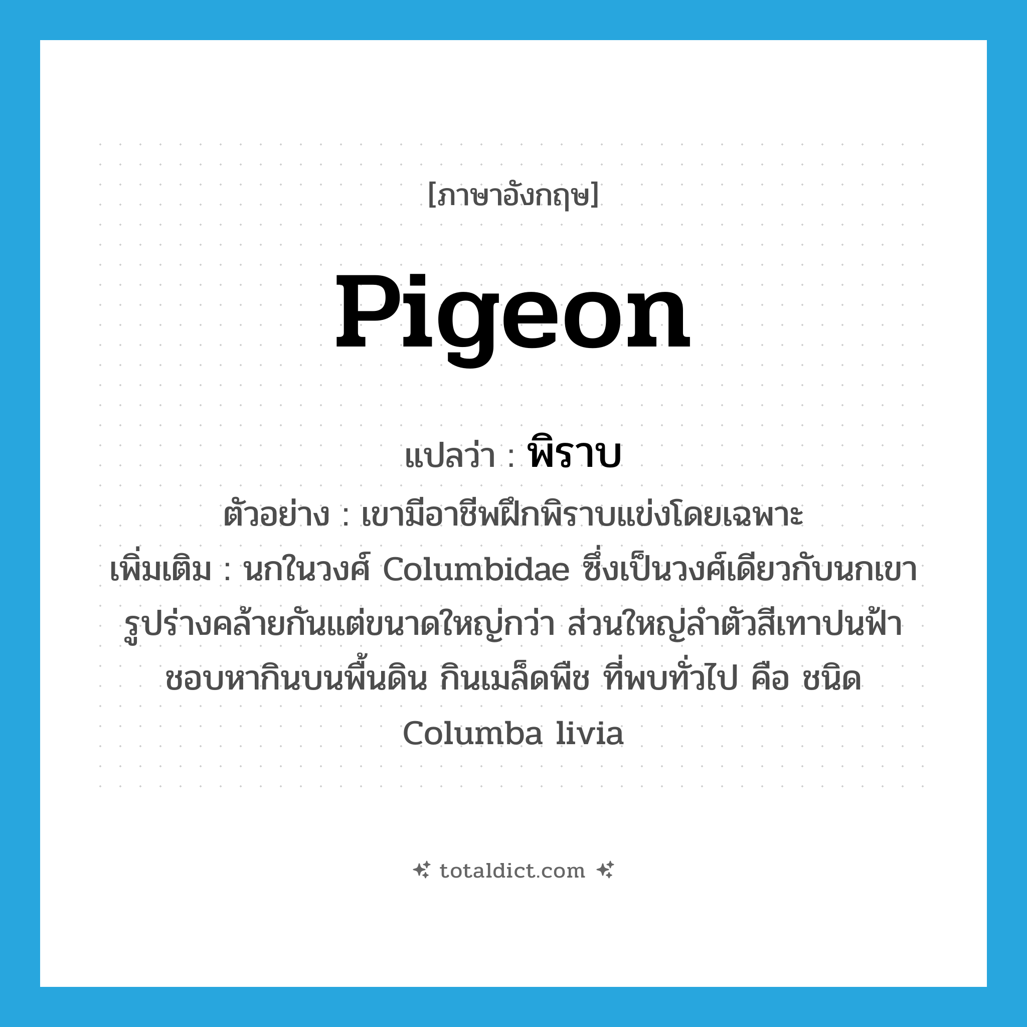 pigeon แปลว่า?, คำศัพท์ภาษาอังกฤษ pigeon แปลว่า พิราบ ประเภท N ตัวอย่าง เขามีอาชีพฝึกพิราบแข่งโดยเฉพาะ เพิ่มเติม นกในวงศ์ Columbidae ซึ่งเป็นวงศ์เดียวกับนกเขา รูปร่างคล้ายกันแต่ขนาดใหญ่กว่า ส่วนใหญ่ลำตัวสีเทาปนฟ้า ชอบหากินบนพื้นดิน กินเมล็ดพืช ที่พบทั่วไป คือ ชนิด Columba livia หมวด N