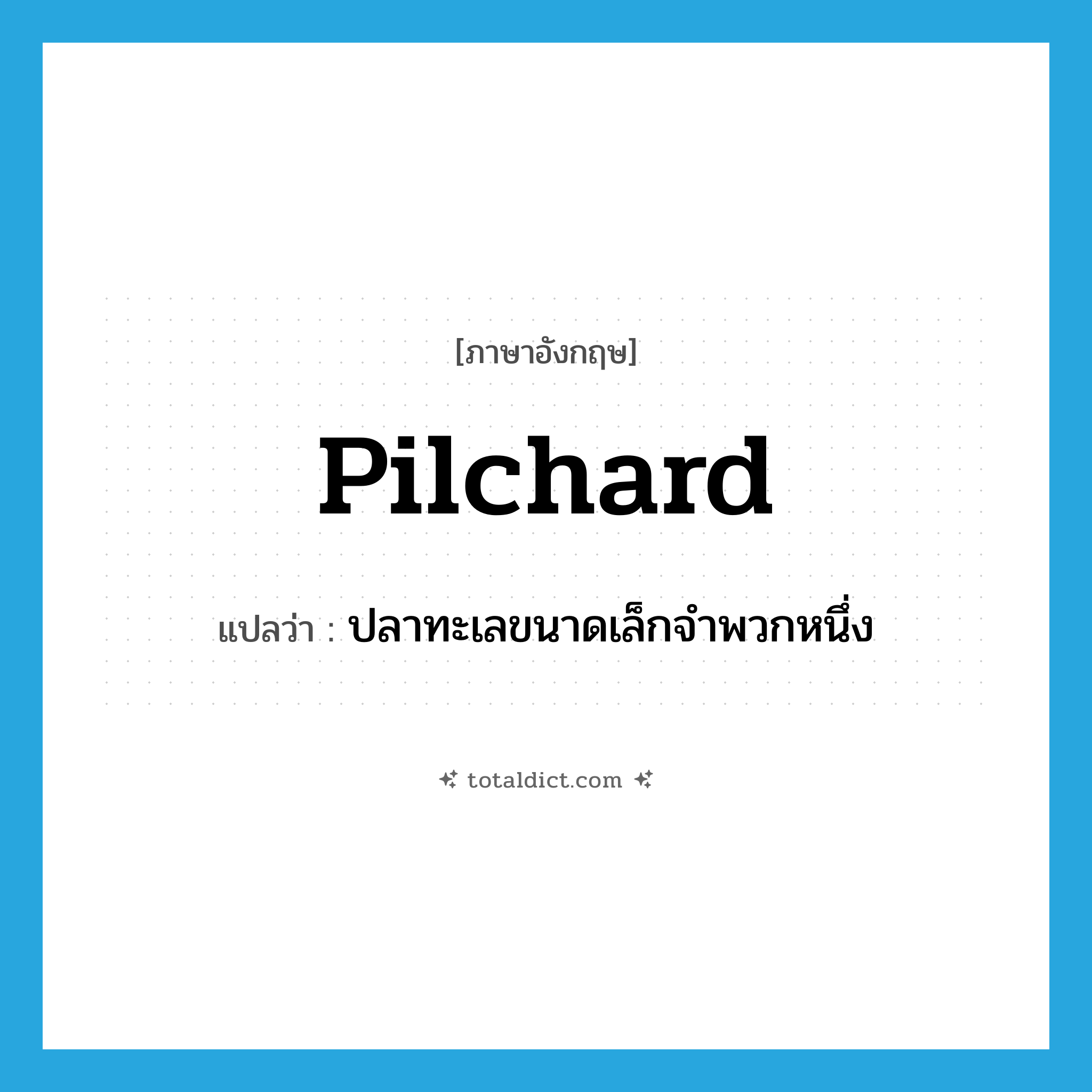 pilchard แปลว่า?, คำศัพท์ภาษาอังกฤษ pilchard แปลว่า ปลาทะเลขนาดเล็กจำพวกหนึ่ง ประเภท N หมวด N