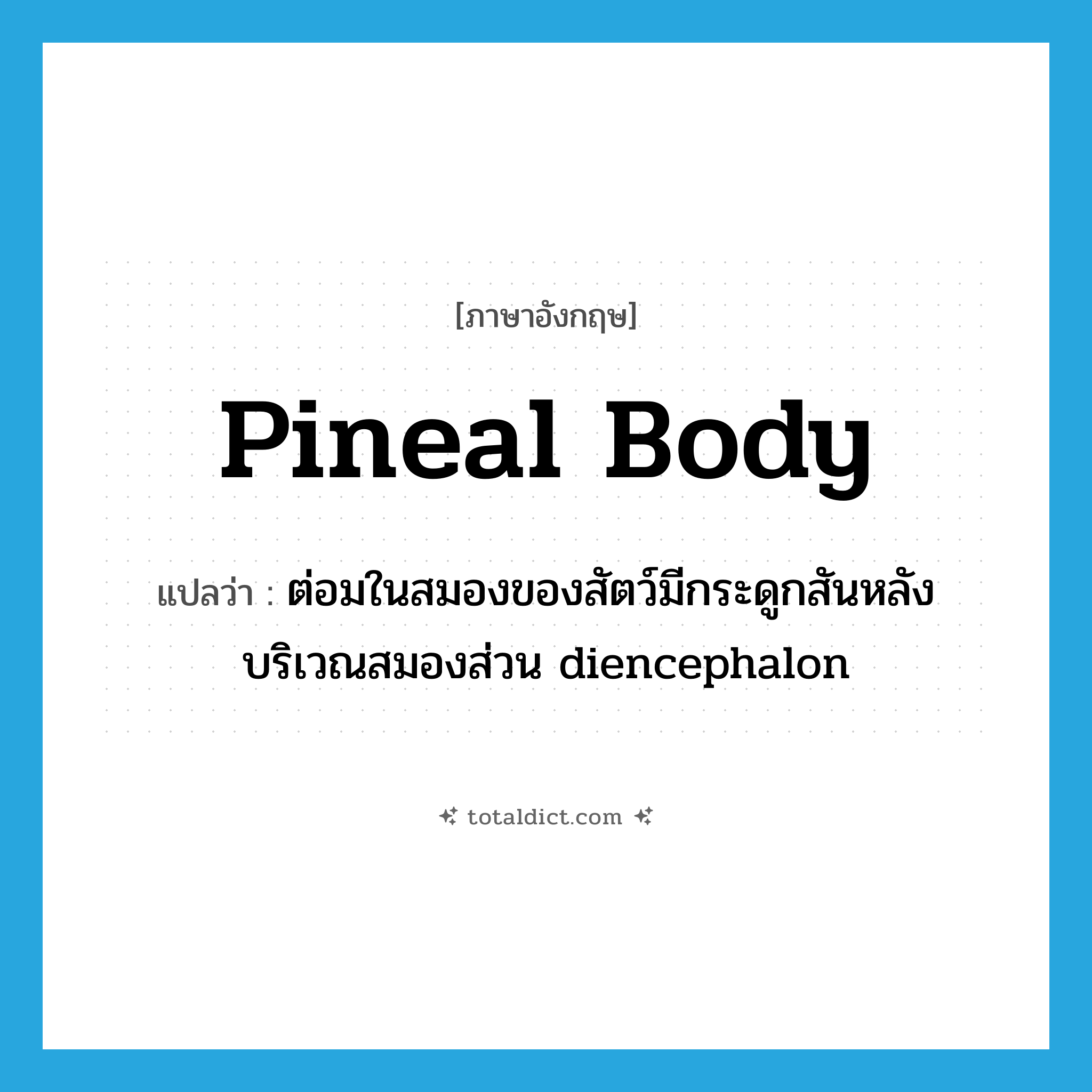pineal body แปลว่า?, คำศัพท์ภาษาอังกฤษ pineal body แปลว่า ต่อมในสมองของสัตว์มีกระดูกสันหลังบริเวณสมองส่วน diencephalon ประเภท N หมวด N