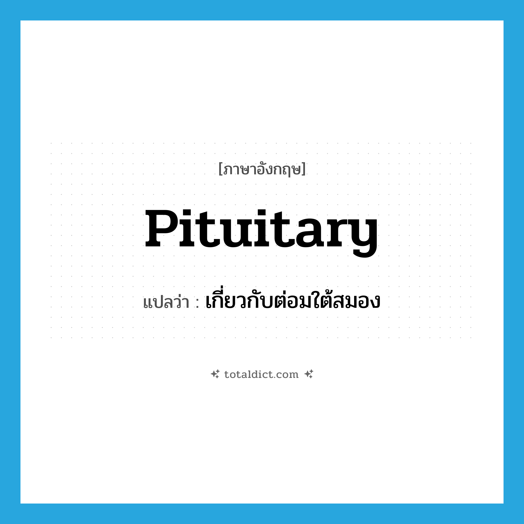 pituitary แปลว่า?, คำศัพท์ภาษาอังกฤษ pituitary แปลว่า เกี่ยวกับต่อมใต้สมอง ประเภท ADJ หมวด ADJ