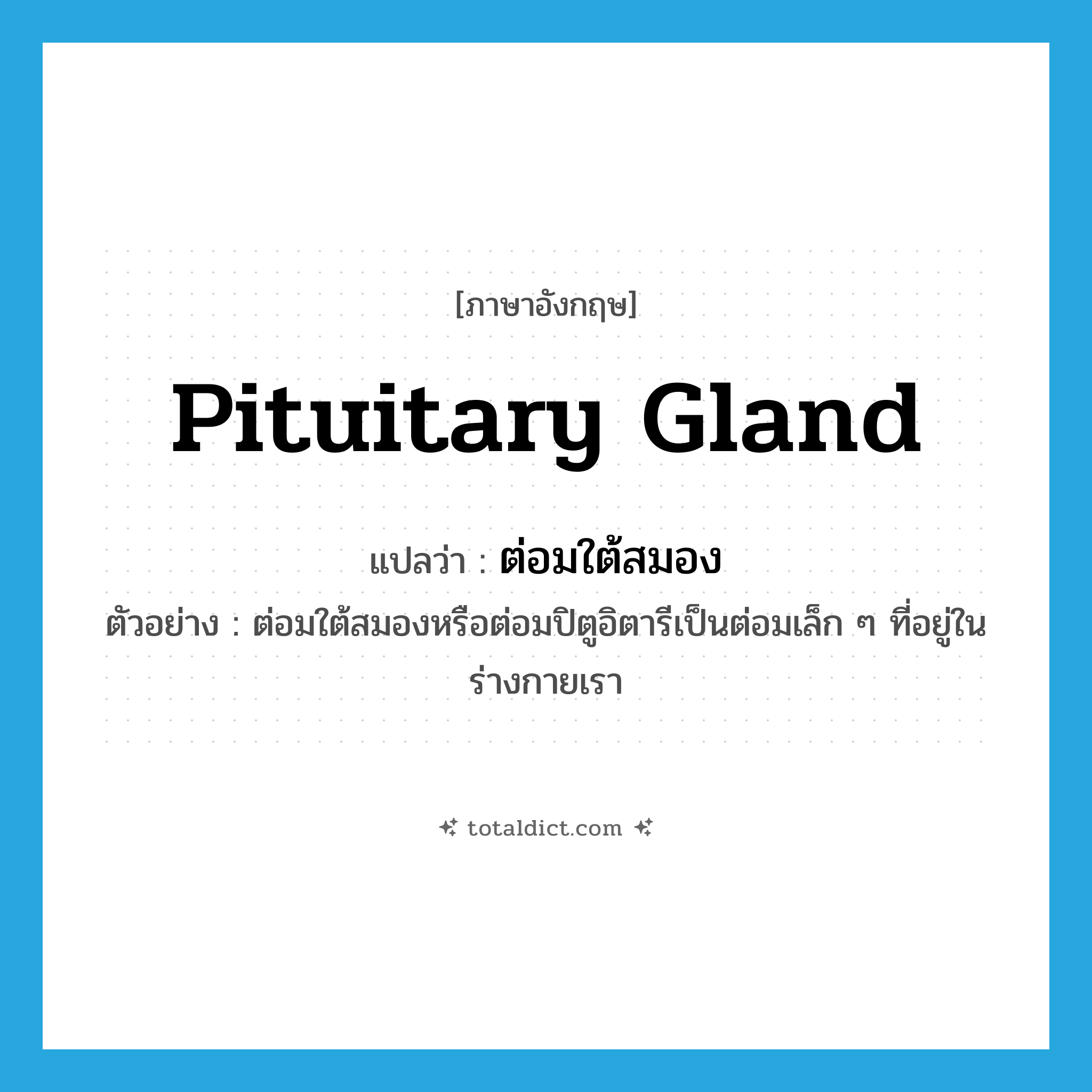 ต่อมใต้สมอง ภาษาอังกฤษ?, คำศัพท์ภาษาอังกฤษ ต่อมใต้สมอง แปลว่า pituitary gland ประเภท N ตัวอย่าง ต่อมใต้สมองหรือต่อมปิตูอิตารีเป็นต่อมเล็ก ๆ ที่อยู่ในร่างกายเรา หมวด N