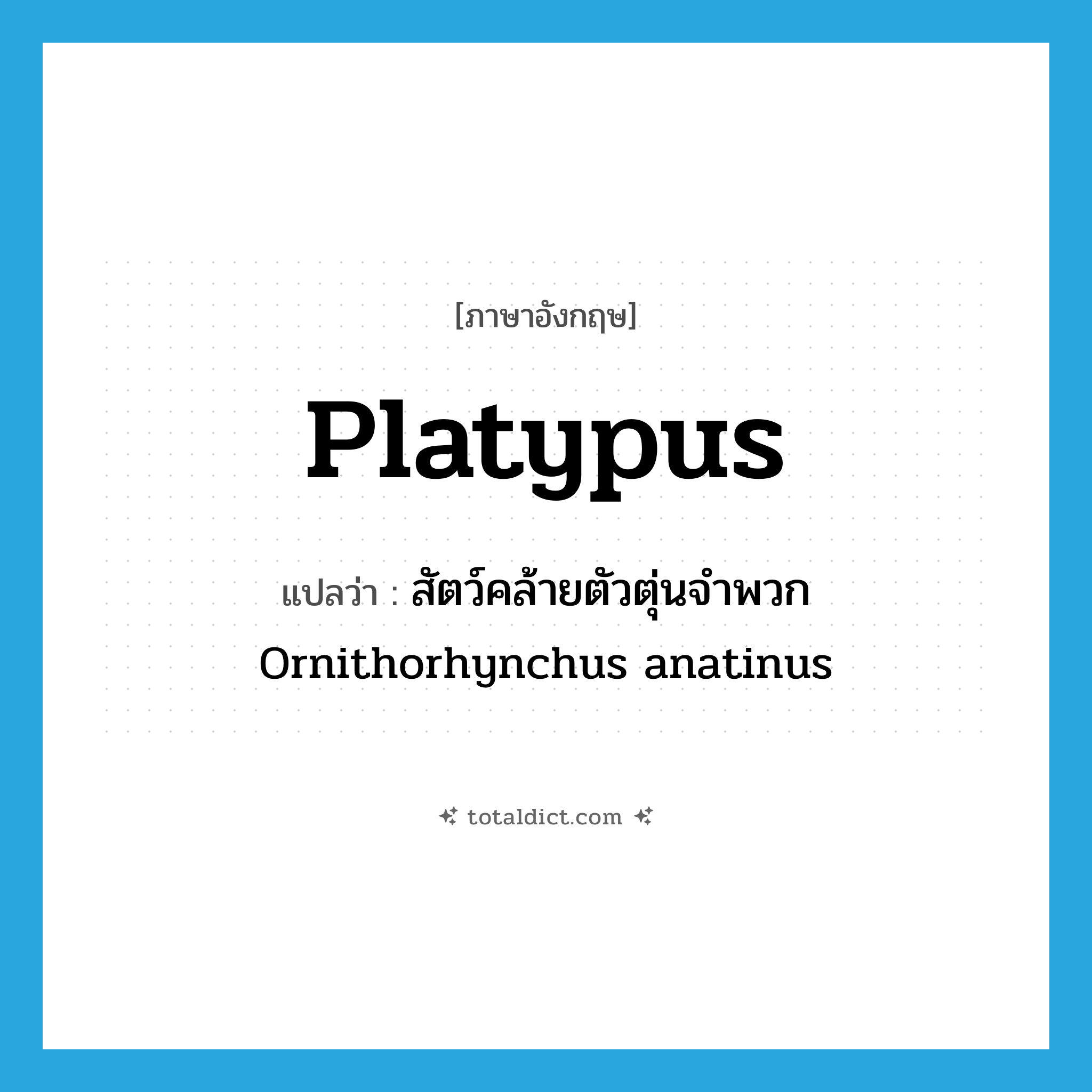 platypus แปลว่า?, คำศัพท์ภาษาอังกฤษ platypus แปลว่า สัตว์คล้ายตัวตุ่นจำพวก Ornithorhynchus anatinus ประเภท N หมวด N