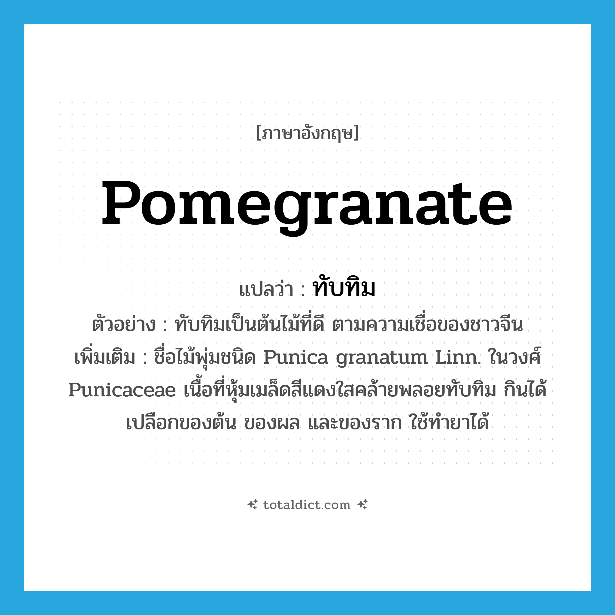ทับทิม ภาษาอังกฤษ?, คำศัพท์ภาษาอังกฤษ ทับทิม แปลว่า pomegranate ประเภท N ตัวอย่าง ทับทิมเป็นต้นไม้ที่ดี ตามความเชื่อของชาวจีน เพิ่มเติม ชื่อไม้พุ่มชนิด Punica granatum Linn. ในวงศ์ Punicaceae เนื้อที่หุ้มเมล็ดสีแดงใสคล้ายพลอยทับทิม กินได้ เปลือกของต้น ของผล และของราก ใช้ทำยาได้ หมวด N