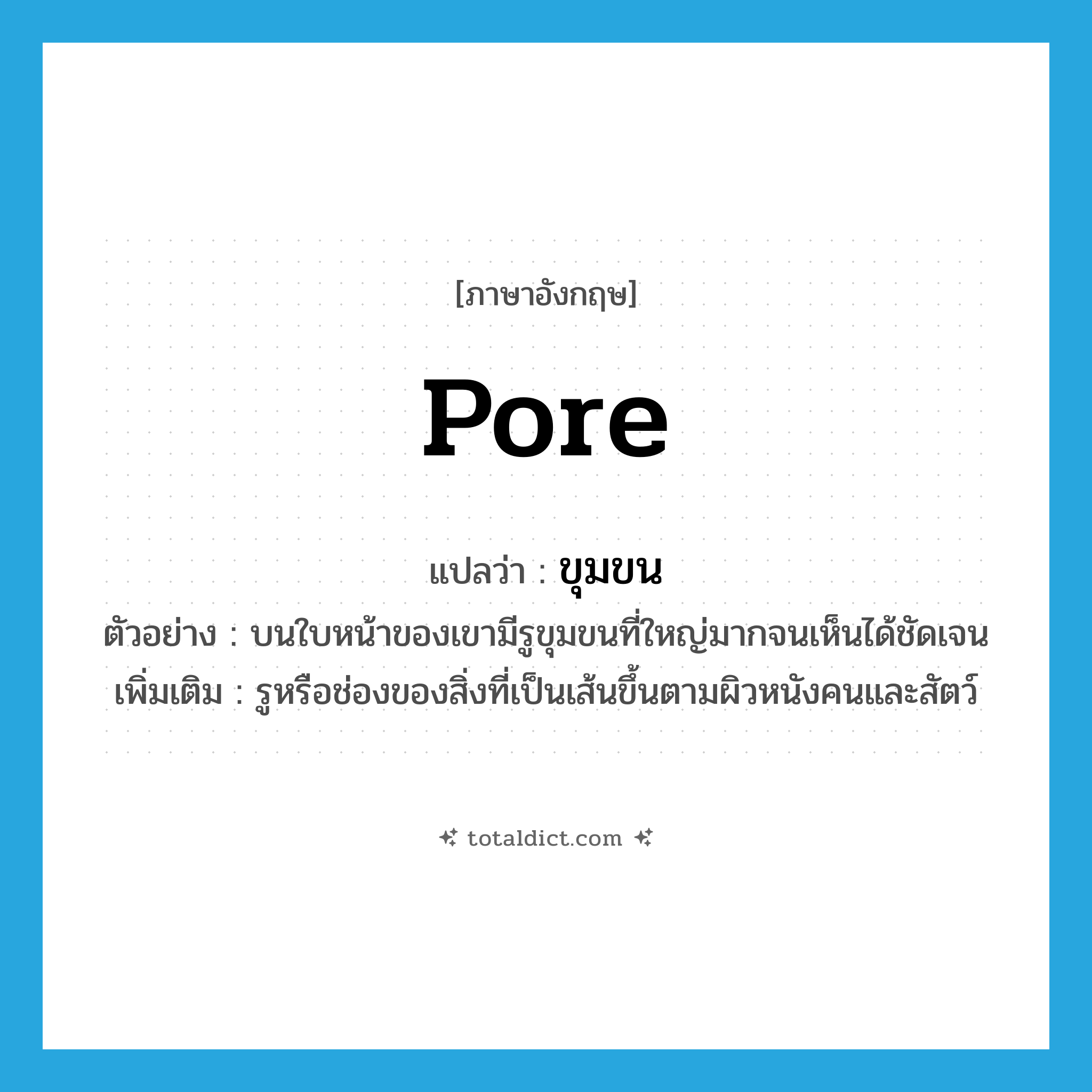 pore แปลว่า?, คำศัพท์ภาษาอังกฤษ pore แปลว่า ขุมขน ประเภท N ตัวอย่าง บนใบหน้าของเขามีรูขุมขนที่ใหญ่มากจนเห็นได้ชัดเจน เพิ่มเติม รูหรือช่องของสิ่งที่เป็นเส้นขึ้นตามผิวหนังคนและสัตว์ หมวด N