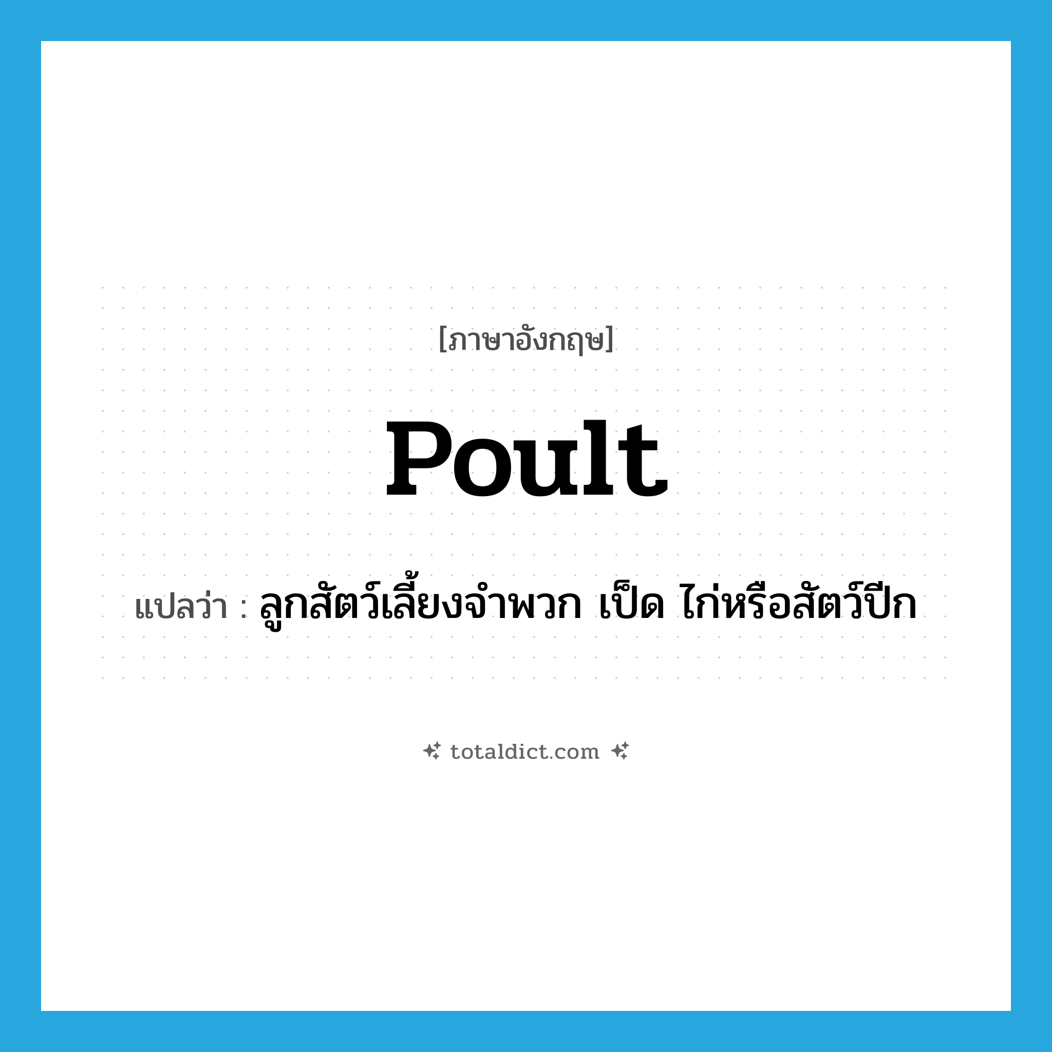 poult แปลว่า?, คำศัพท์ภาษาอังกฤษ poult แปลว่า ลูกสัตว์เลี้ยงจำพวก เป็ด ไก่หรือสัตว์ปีก ประเภท N หมวด N
