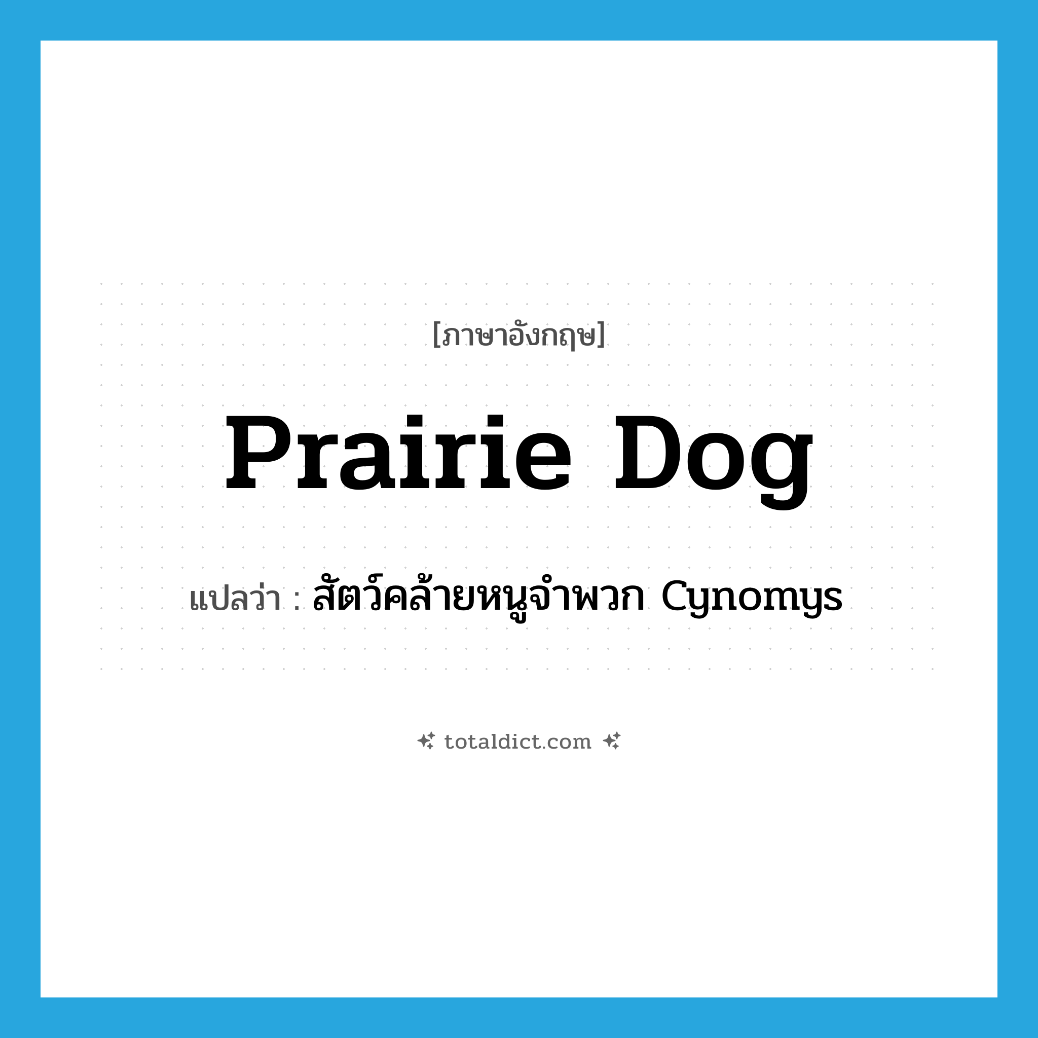 prairie dog แปลว่า?, คำศัพท์ภาษาอังกฤษ prairie dog แปลว่า สัตว์คล้ายหนูจำพวก Cynomys ประเภท N หมวด N