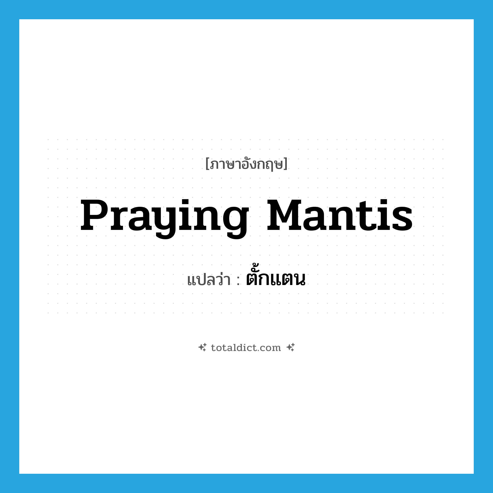 praying mantis แปลว่า?, คำศัพท์ภาษาอังกฤษ praying mantis แปลว่า ตั้กแตน ประเภท N หมวด N