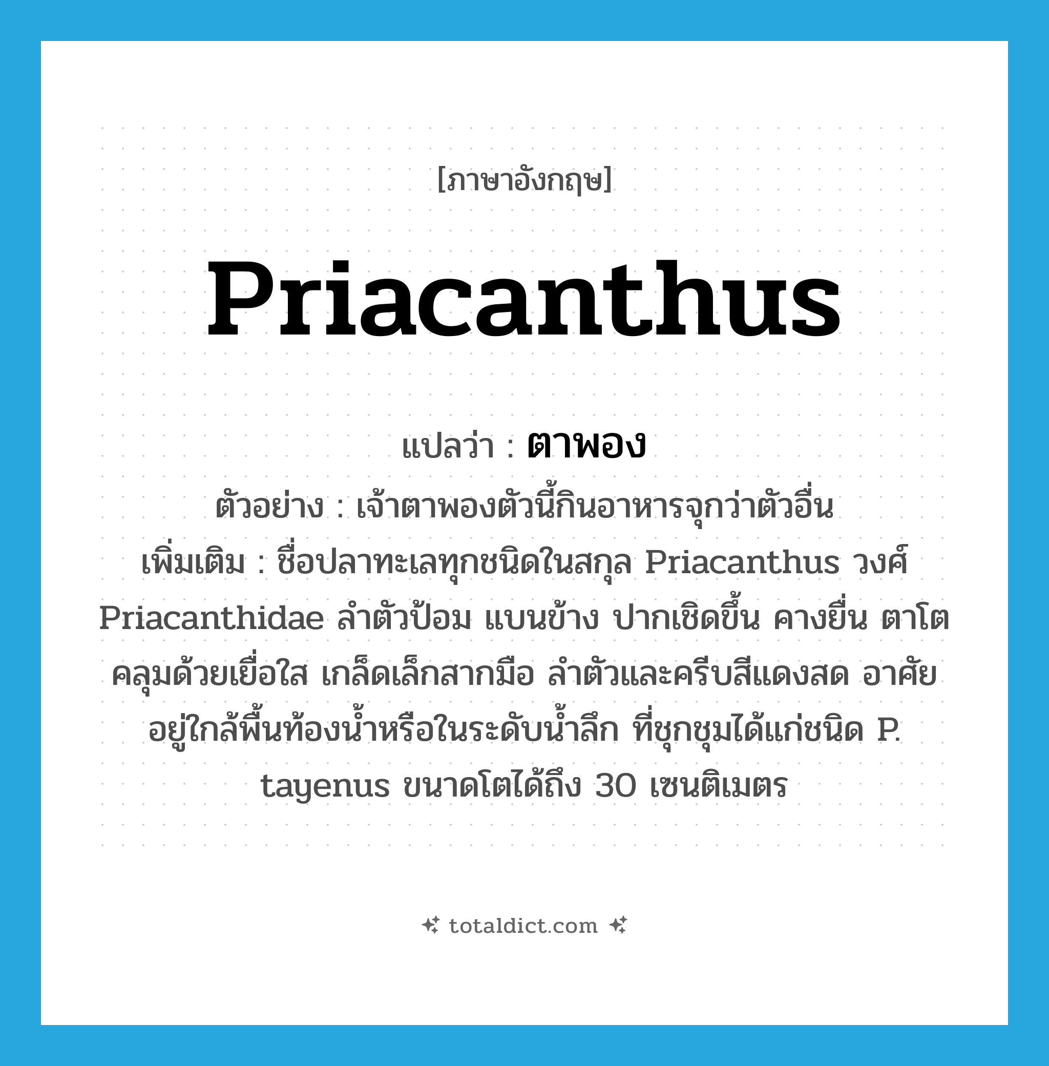 Priacanthus แปลว่า?, คำศัพท์ภาษาอังกฤษ Priacanthus แปลว่า ตาพอง ประเภท N ตัวอย่าง เจ้าตาพองตัวนี้กินอาหารจุกว่าตัวอื่น เพิ่มเติม ชื่อปลาทะเลทุกชนิดในสกุล Priacanthus วงศ์ Priacanthidae ลำตัวป้อม แบนข้าง ปากเชิดขึ้น คางยื่น ตาโตคลุมด้วยเยื่อใส เกล็ดเล็กสากมือ ลำตัวและครีบสีแดงสด อาศัยอยู่ใกล้พื้นท้องน้ำหรือในระดับน้ำลึก ที่ชุกชุมได้แก่ชนิด P. tayenus ขนาดโตได้ถึง 30 เซนติเมตร หมวด N