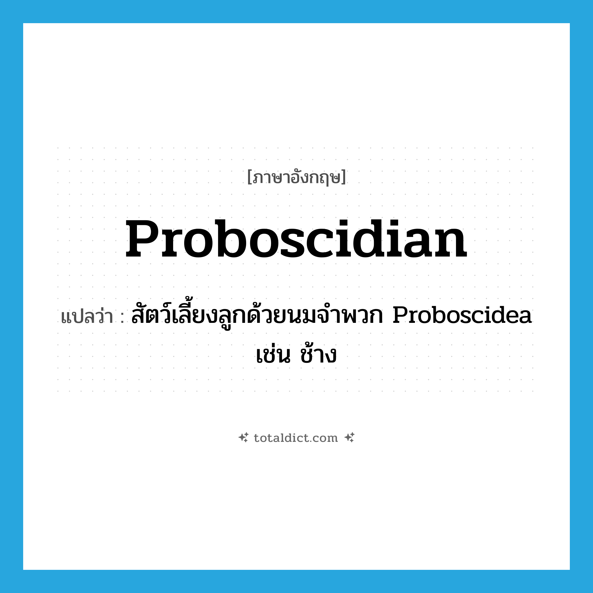 proboscidian แปลว่า?, คำศัพท์ภาษาอังกฤษ proboscidian แปลว่า สัตว์เลี้ยงลูกด้วยนมจำพวก Proboscidea เช่น ช้าง ประเภท N หมวด N