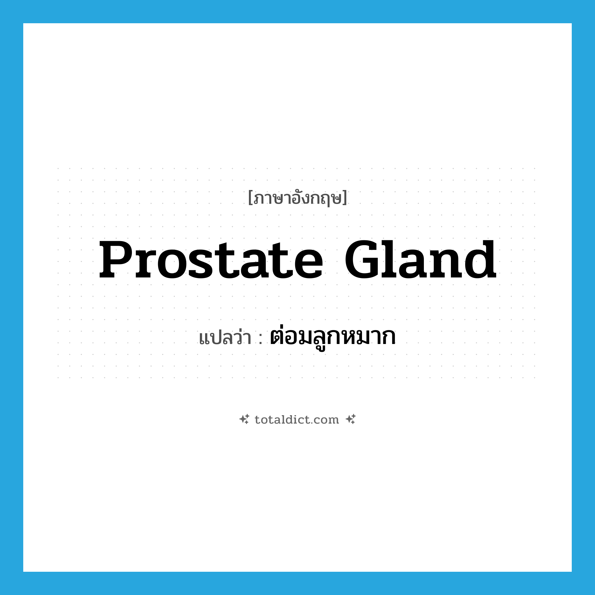 prostate gland แปลว่า?, คำศัพท์ภาษาอังกฤษ prostate gland แปลว่า ต่อมลูกหมาก ประเภท N หมวด N